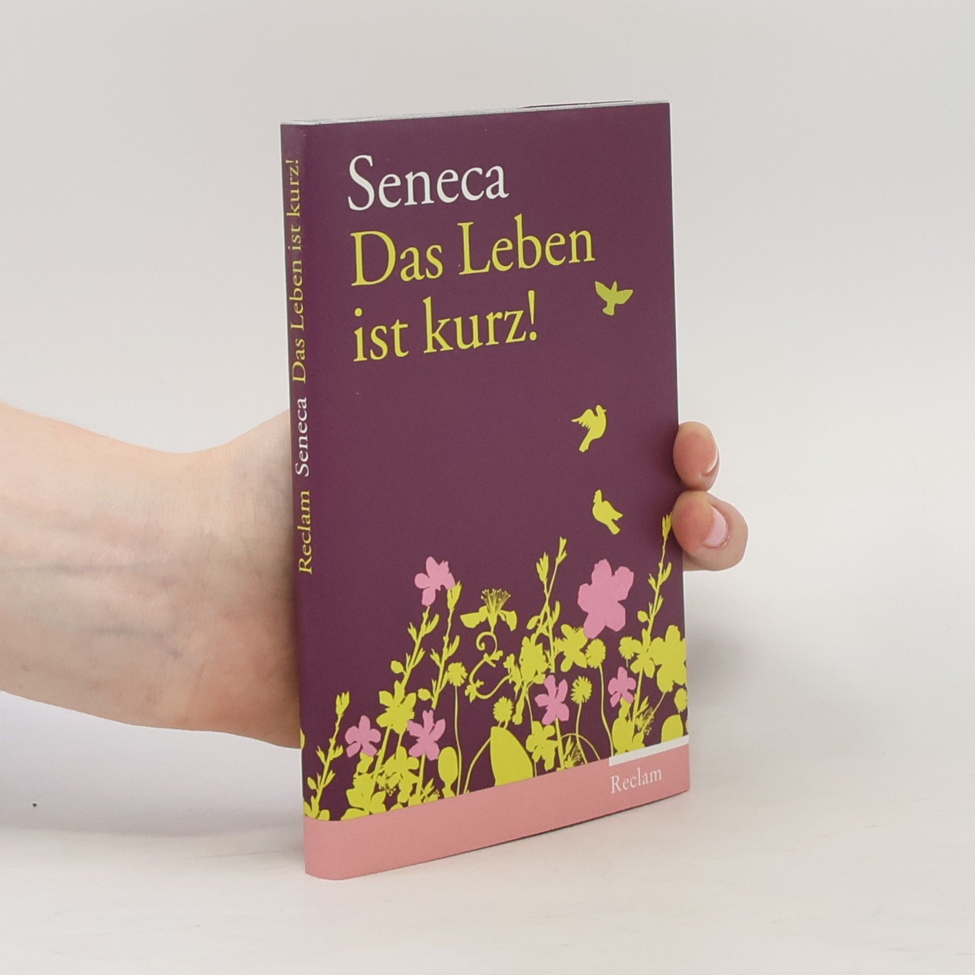 Lucius Annaeus Seneca Das Leben ist kurz!