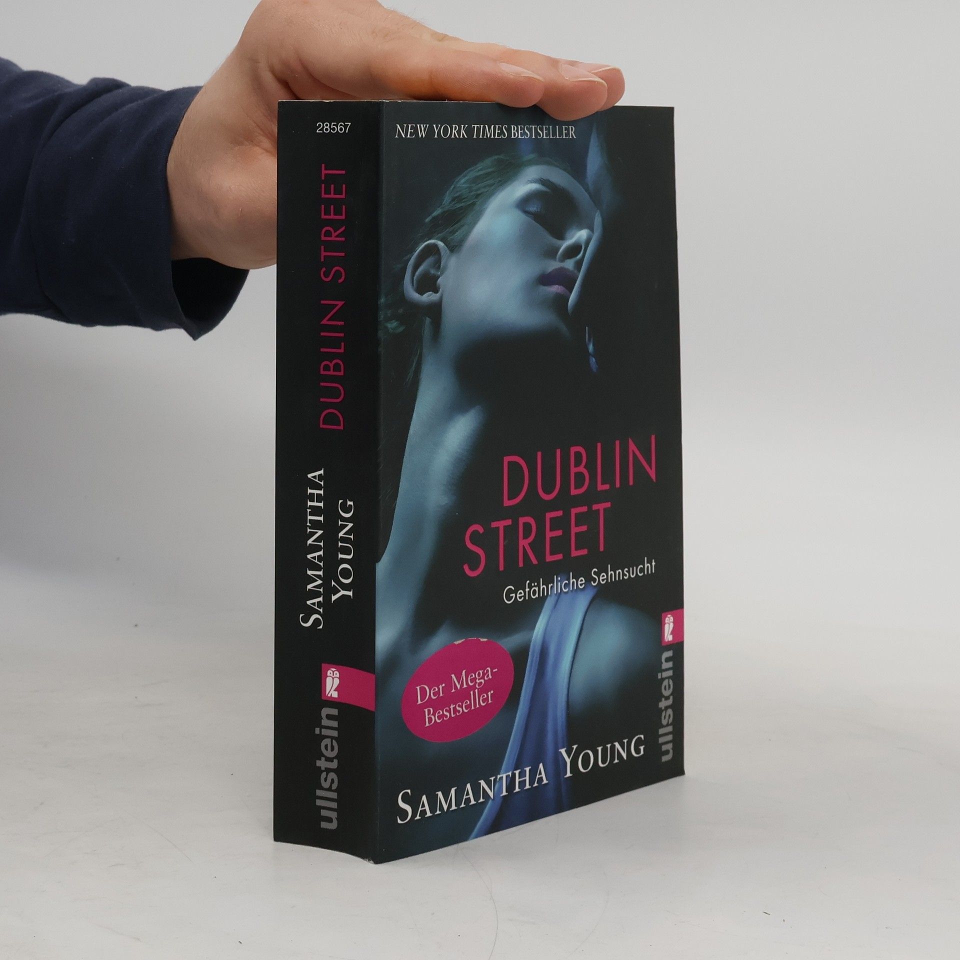 Samantha Young Dublin Street: Gefährliche Sehnsucht