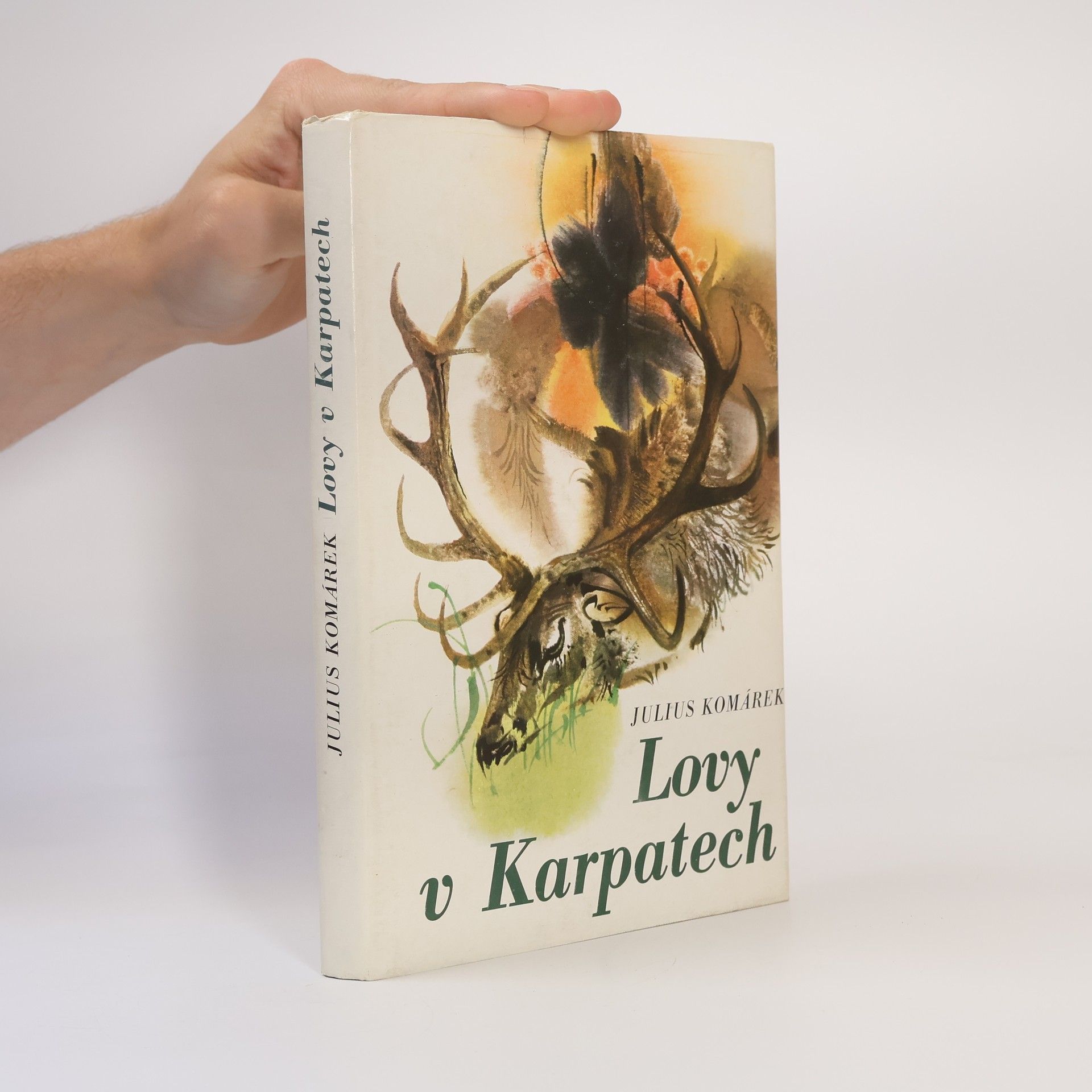 Julius Komárek Lovy v Karpatech