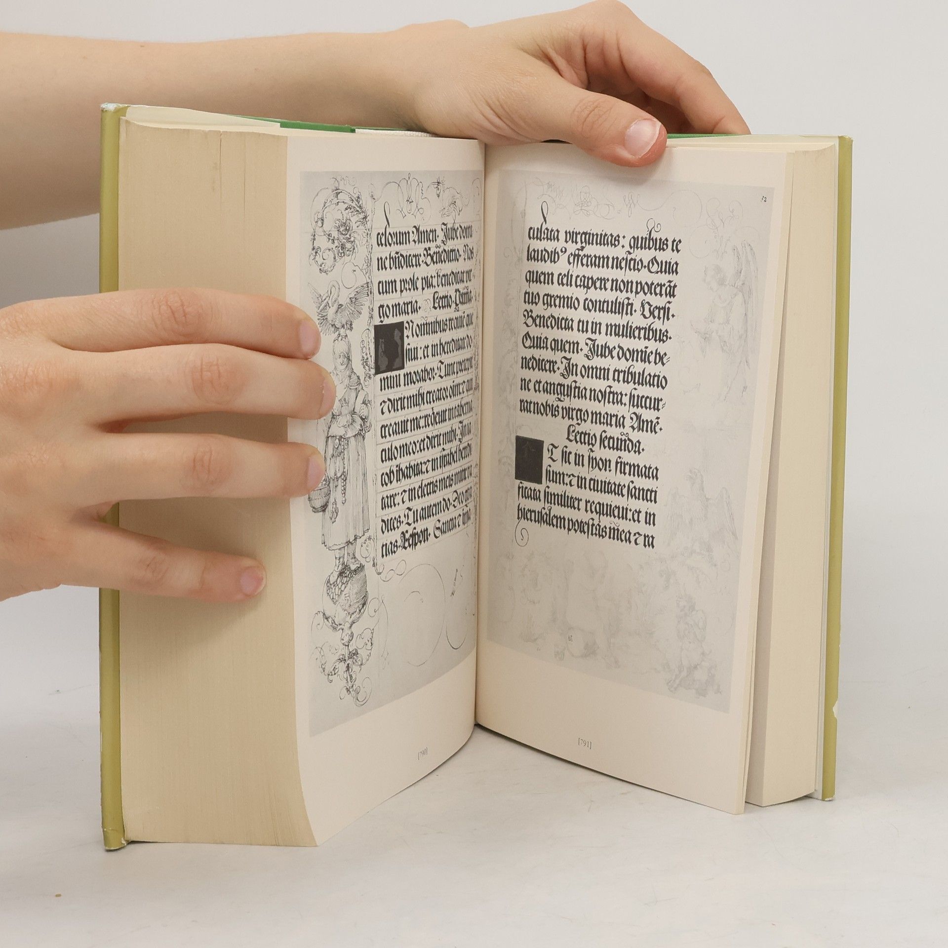 Albrecht Dürer Albrecht Dürer 1: Das gesamte graphische Werk, Handzeichnungen