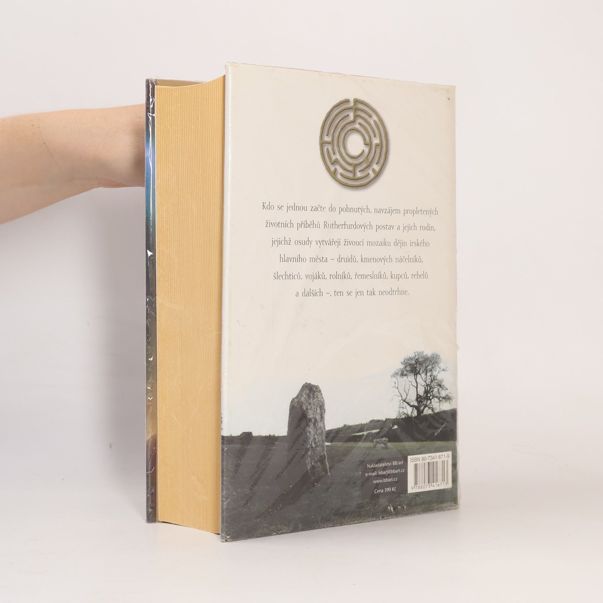 Edward Rutherfurd Dublin. 1. díl, Počátky