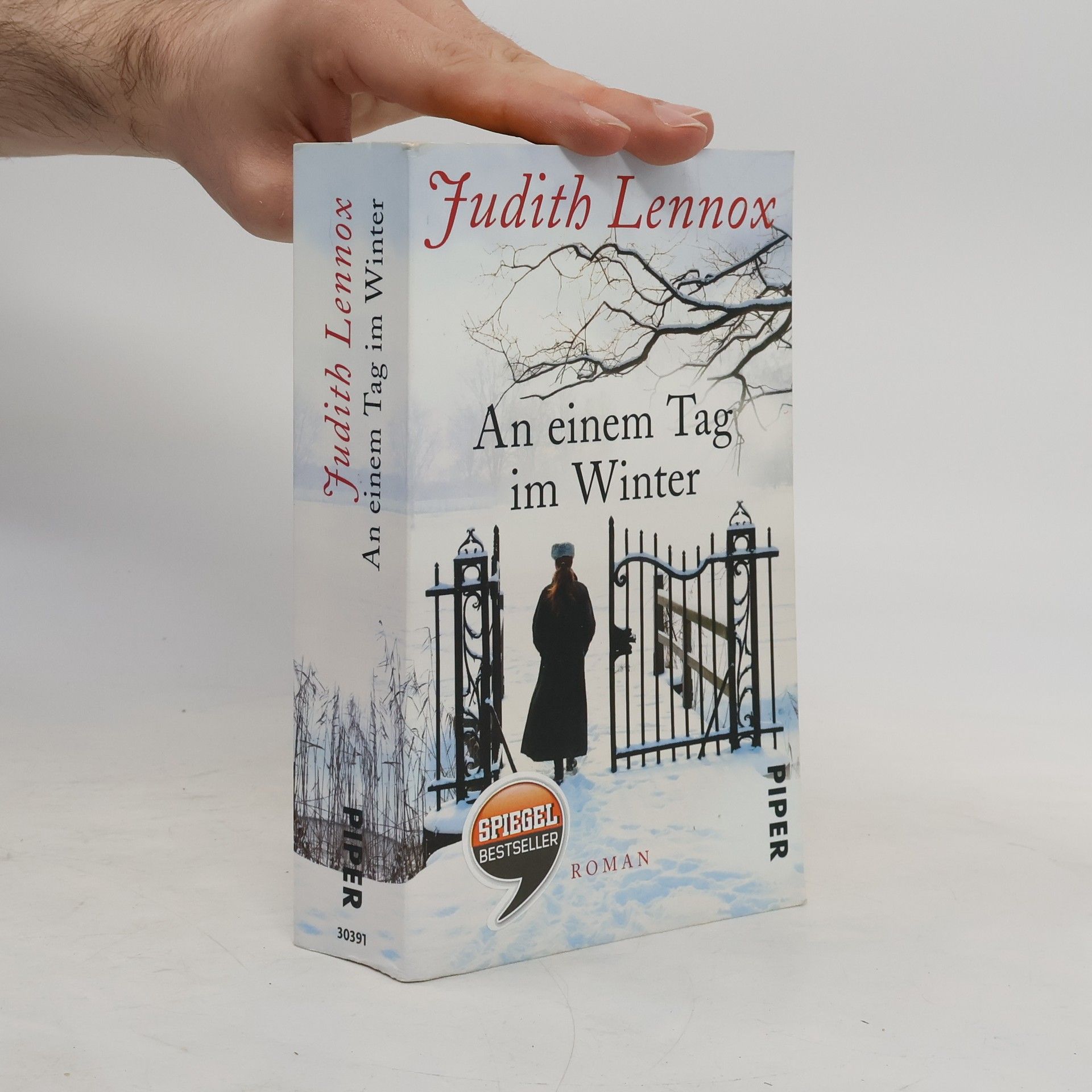 Judith Lennox An einem Tag im Winter