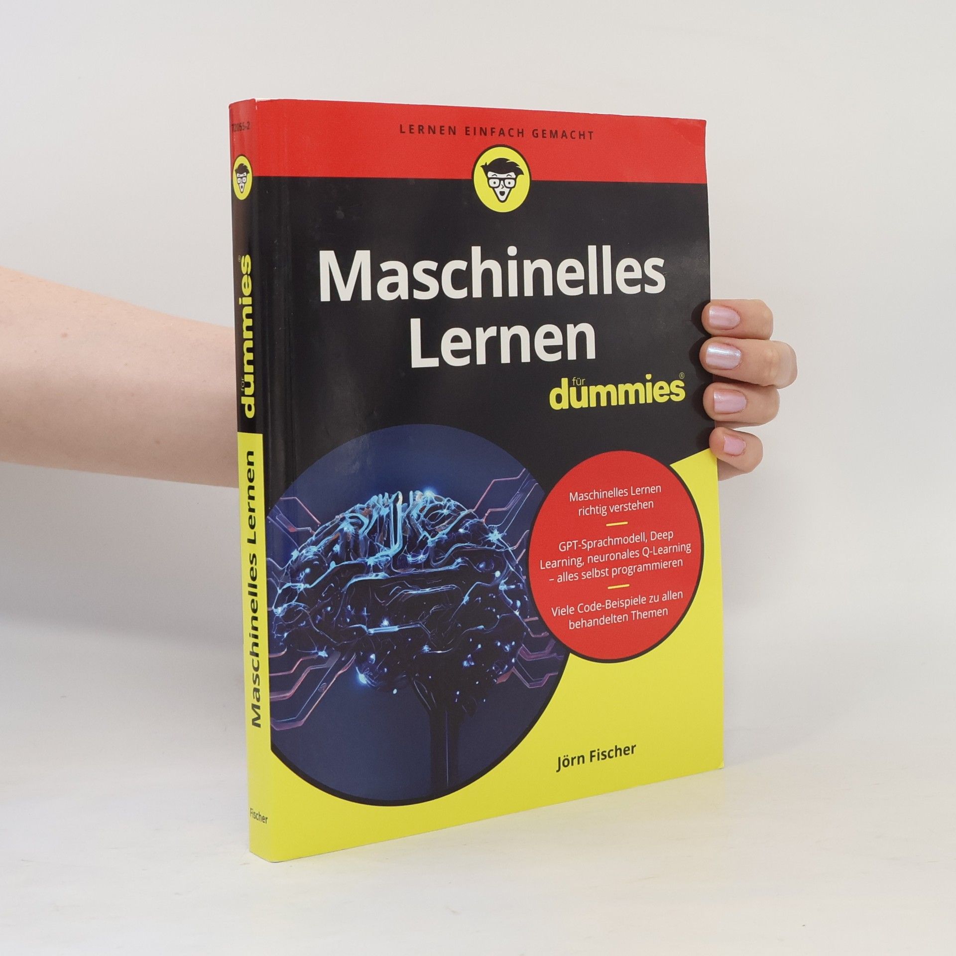 Jörn Fischer Maschinelles Lernen für Dummies
