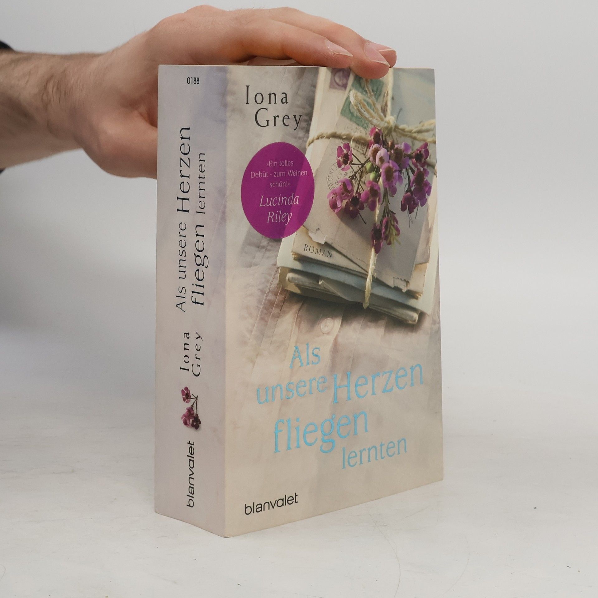 Iona Grey Als unsere Herzen fliegen lernten