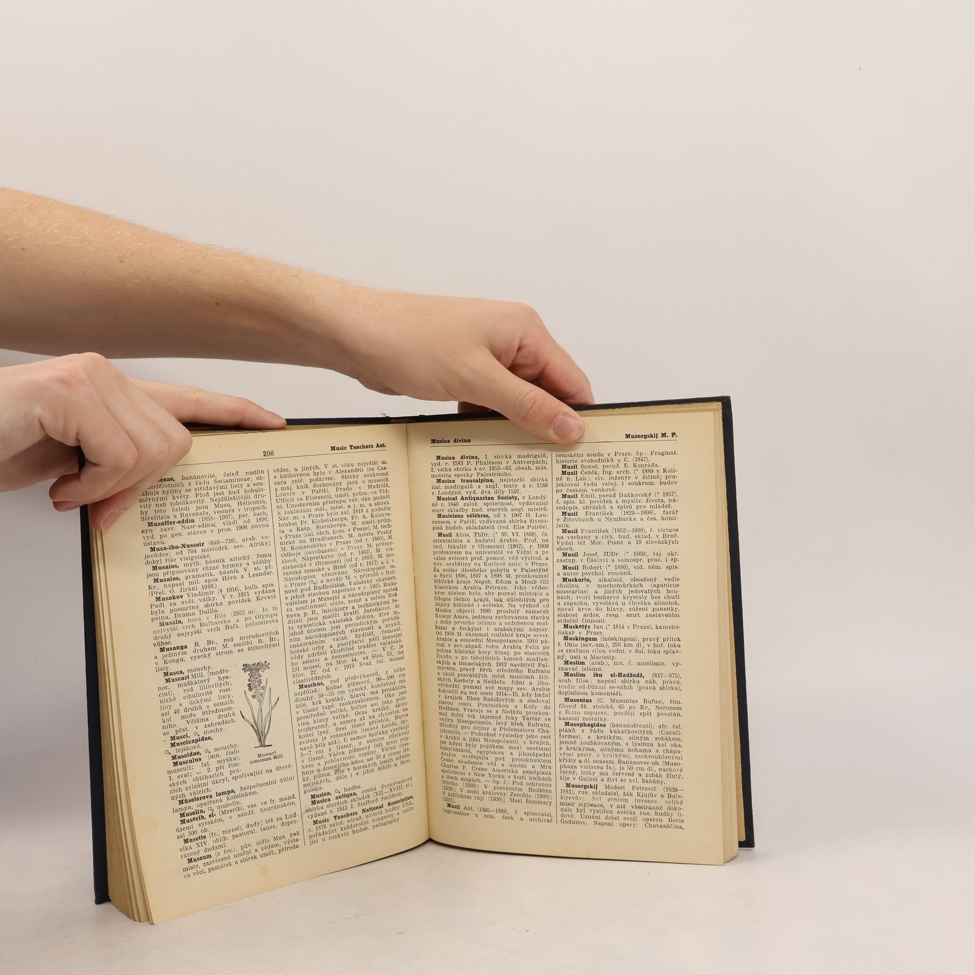 Autores varios Nový velký ilustrovaný slovník naučný XIII.