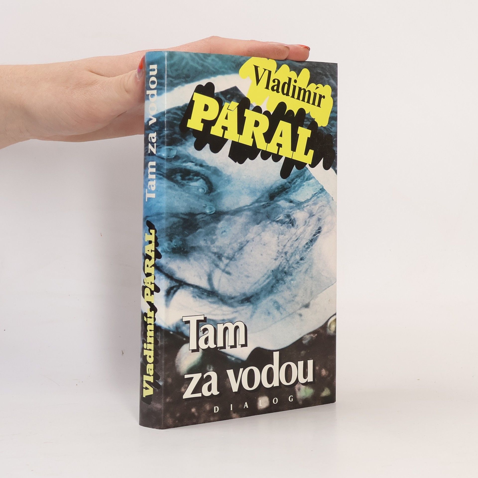 Vladimír Páral Tam za vodou
