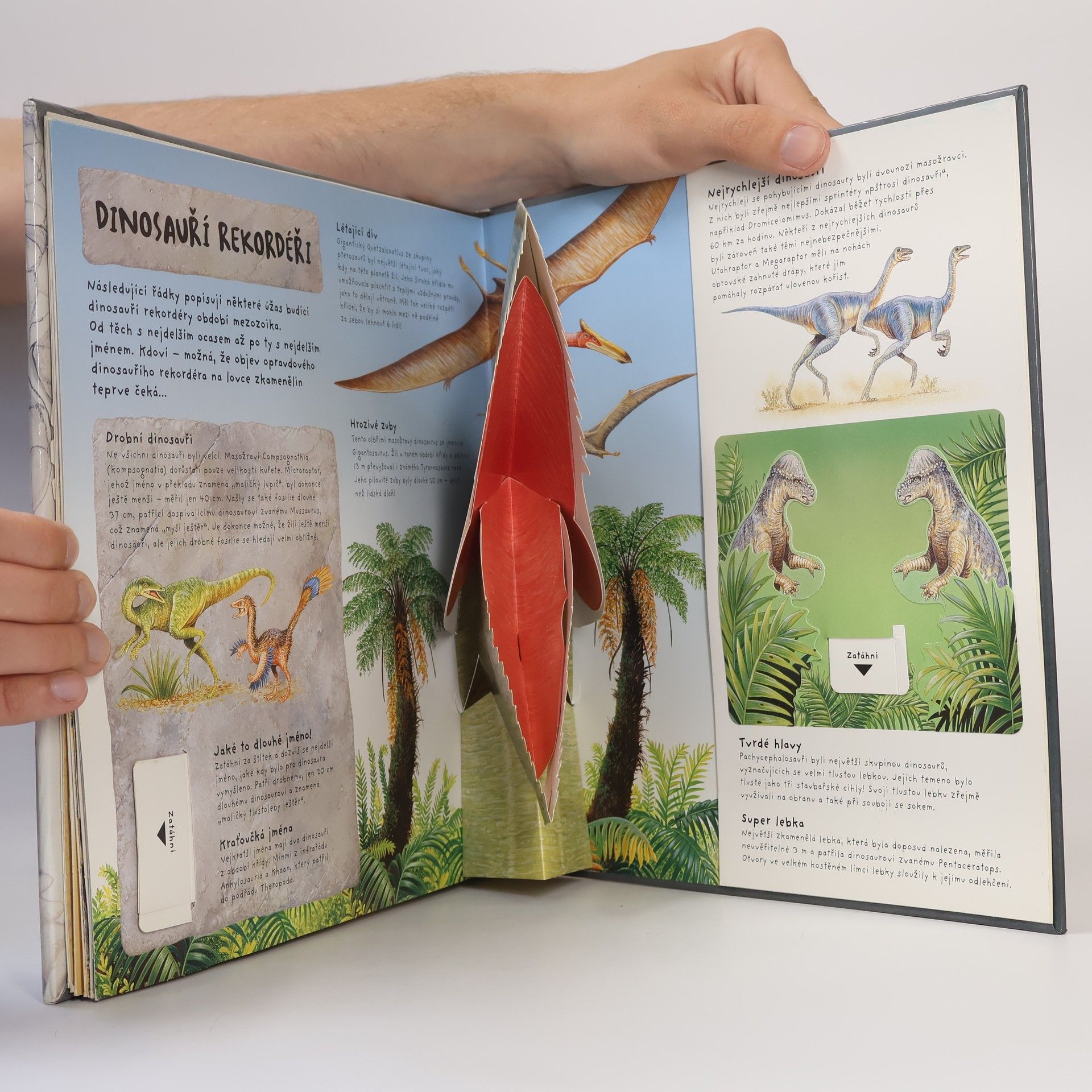 Richard Dungworth Dinosauři - Trojrozměrná fakta