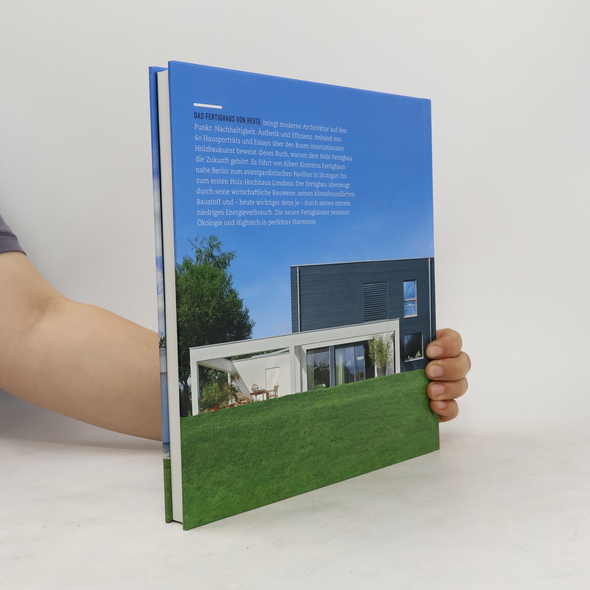 Petra Schwab Das Fertighaus-Buch