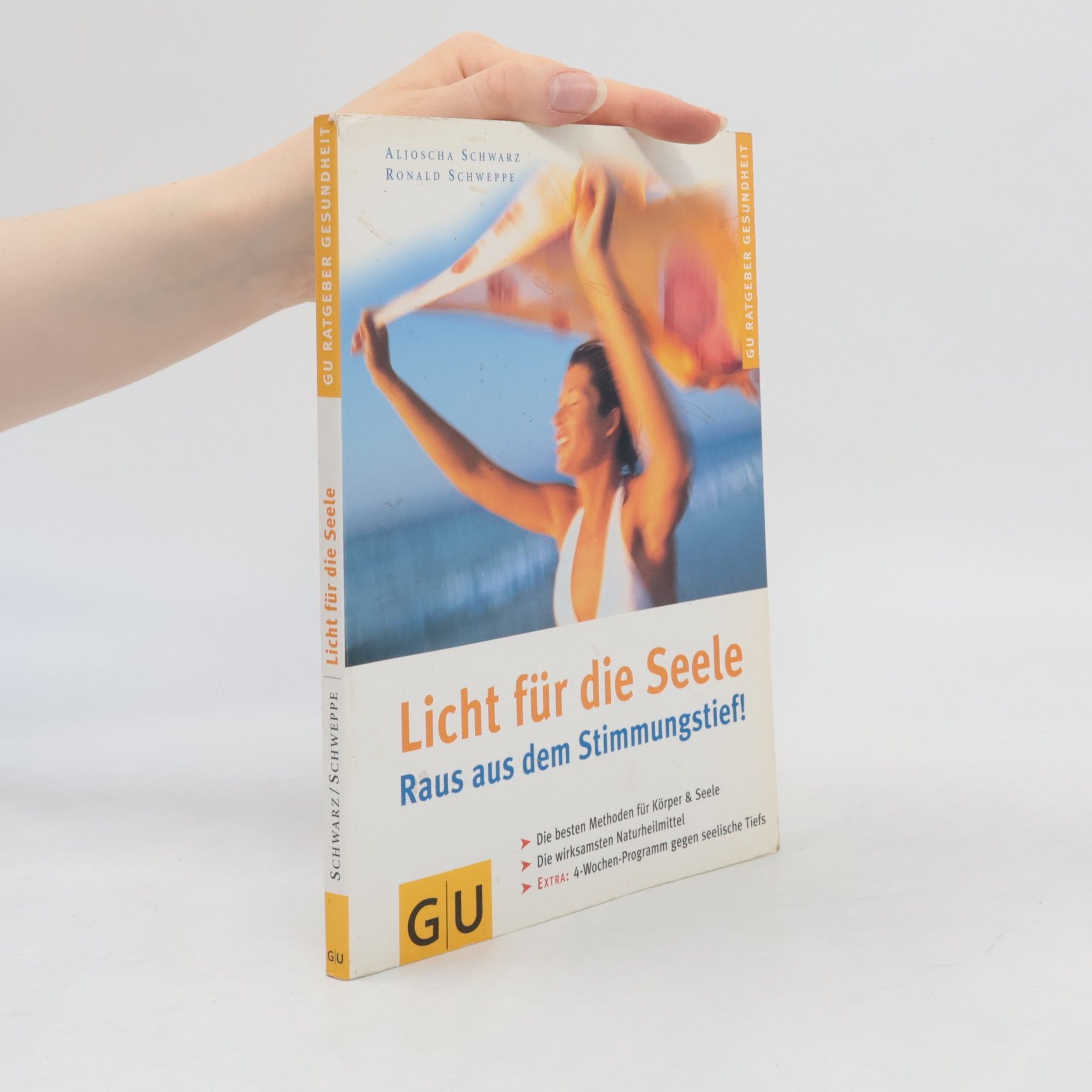 Ronald Schweppe Licht für die Seele. Raus aus dem Stimmungstief!