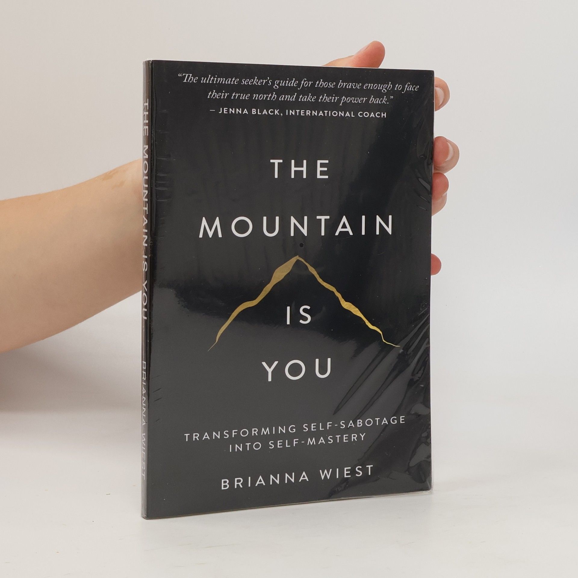 Brianna Wiest The Mountain Is You