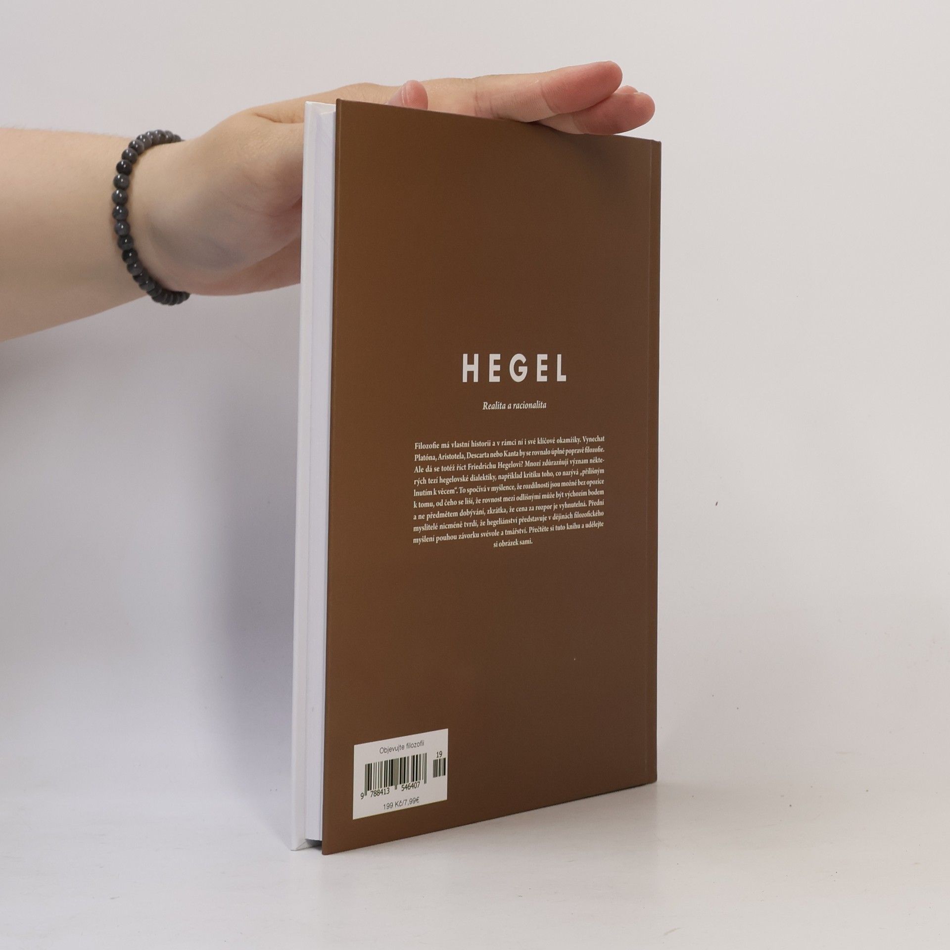 Kolektiv autorů Hegel. Realita a racionalita