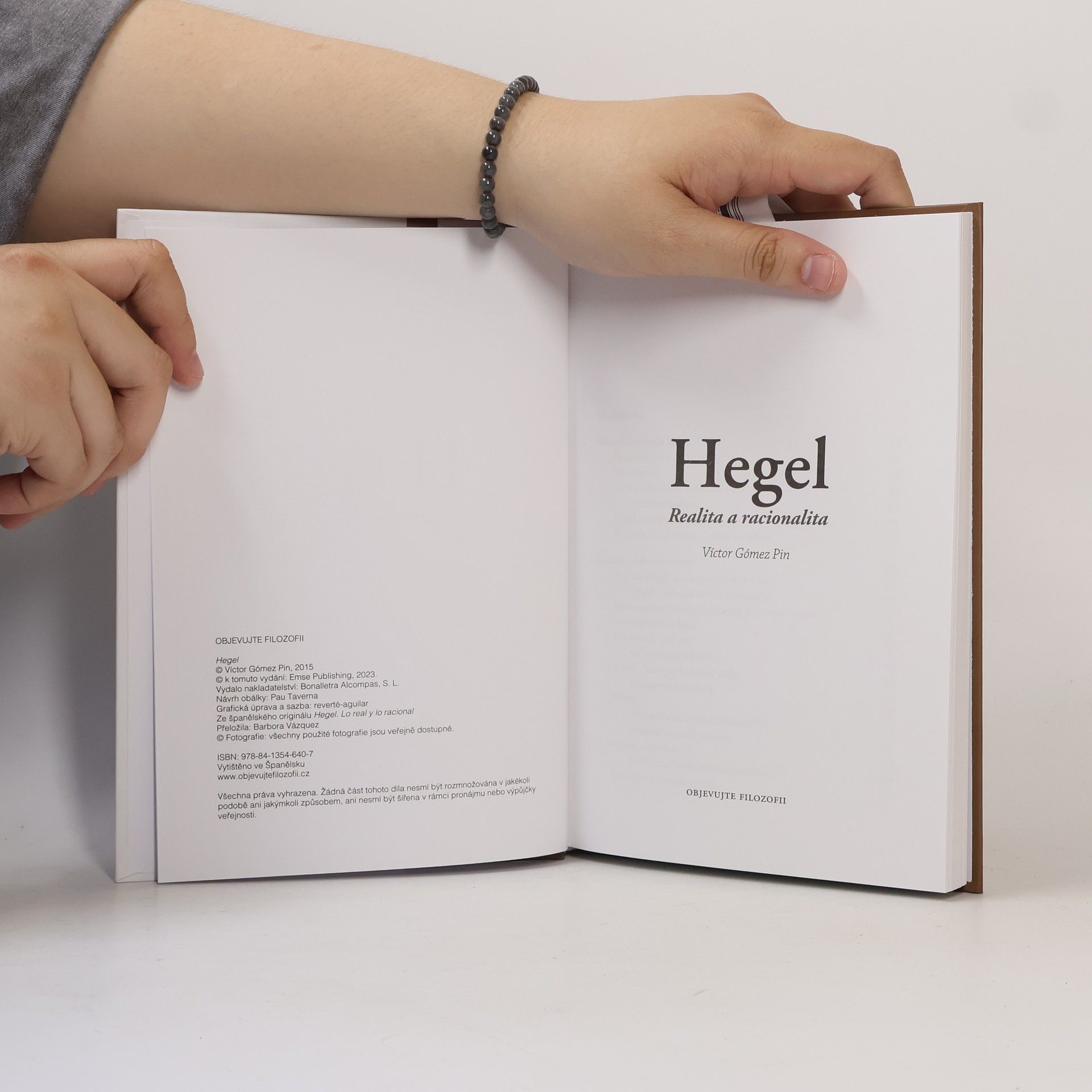 Kolektiv autorů Hegel. Realita a racionalita