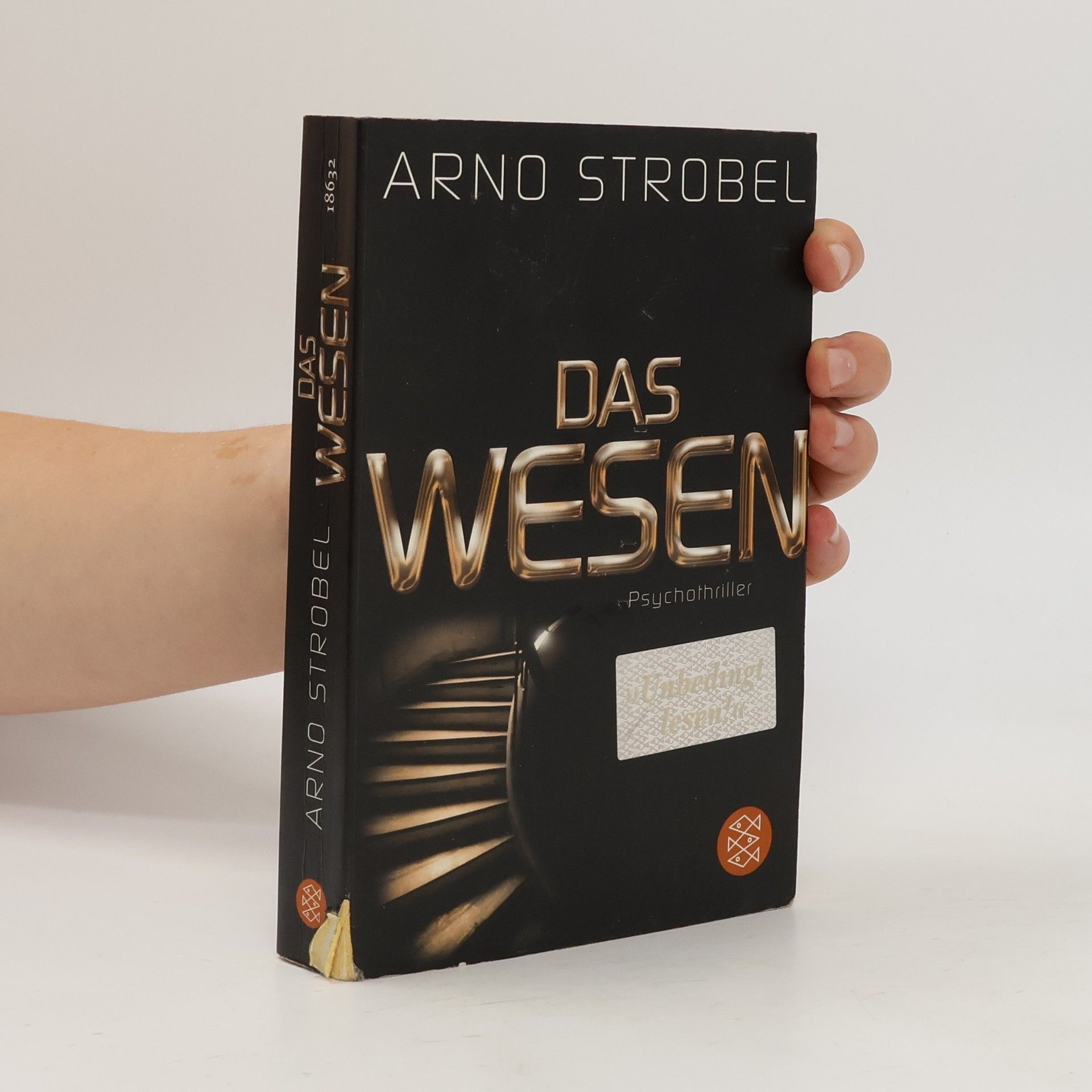 Arno Strobel Das Wesen