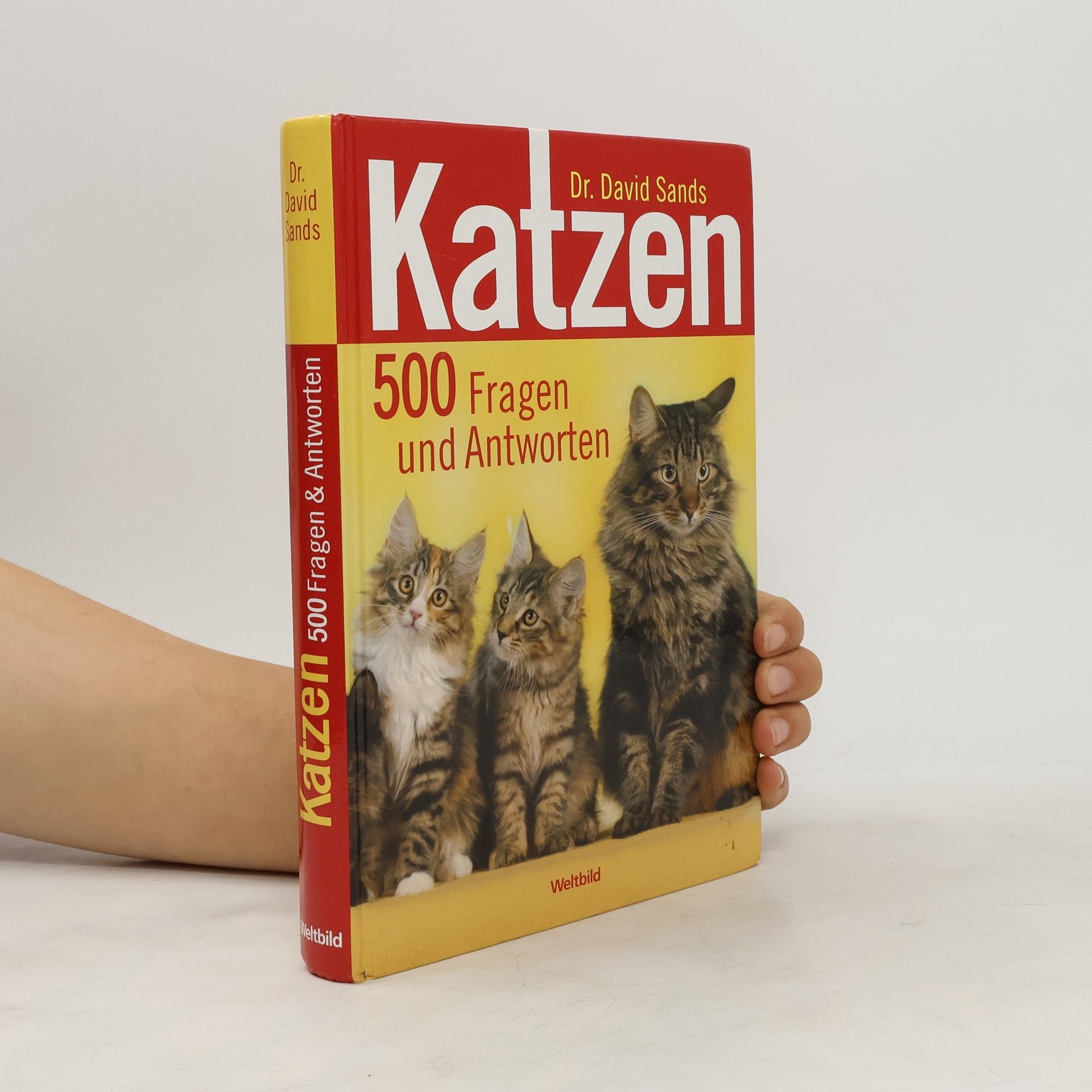 David Sands Katzen