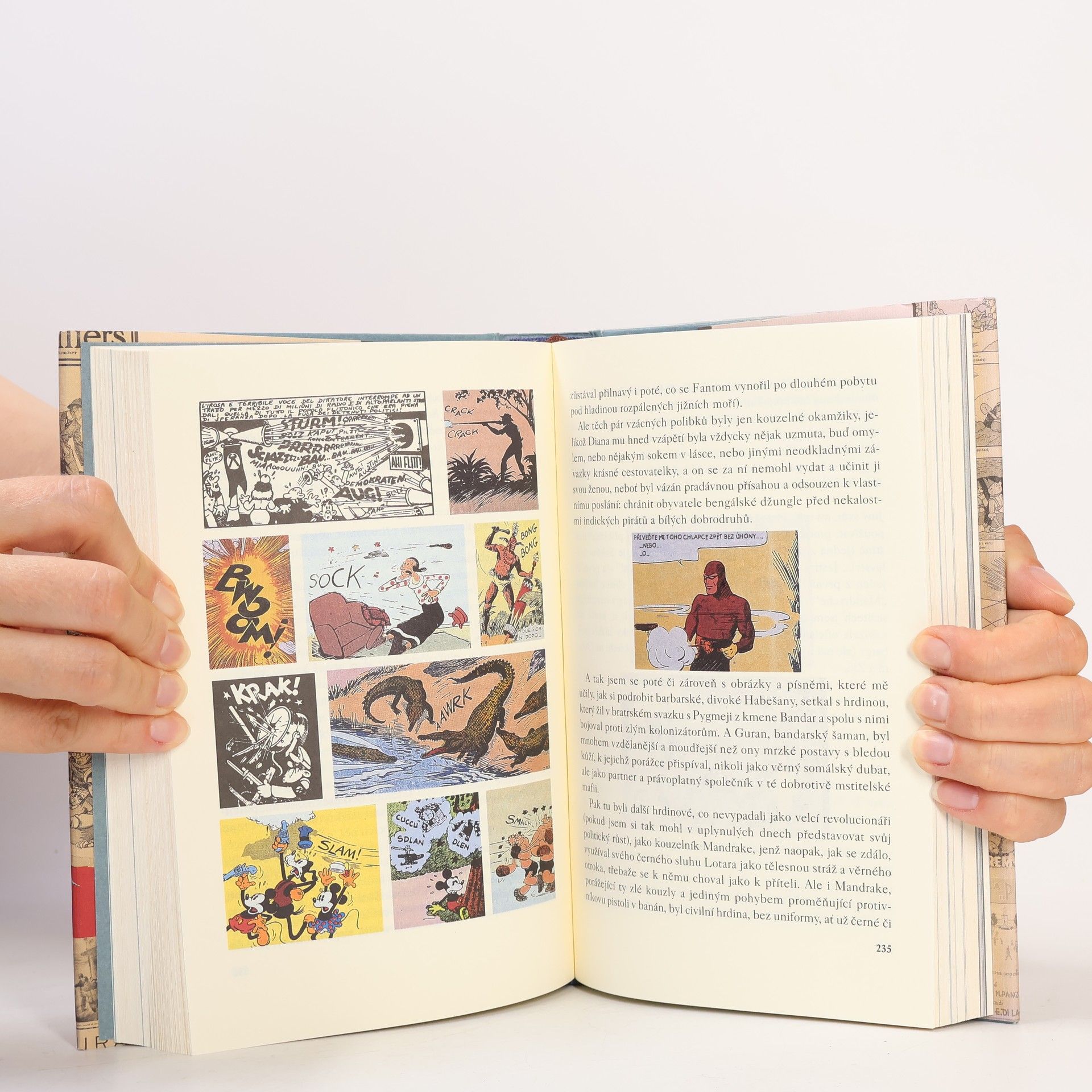 Umberto Eco Tajemný plamen královny Loany: Ilustrovaný román