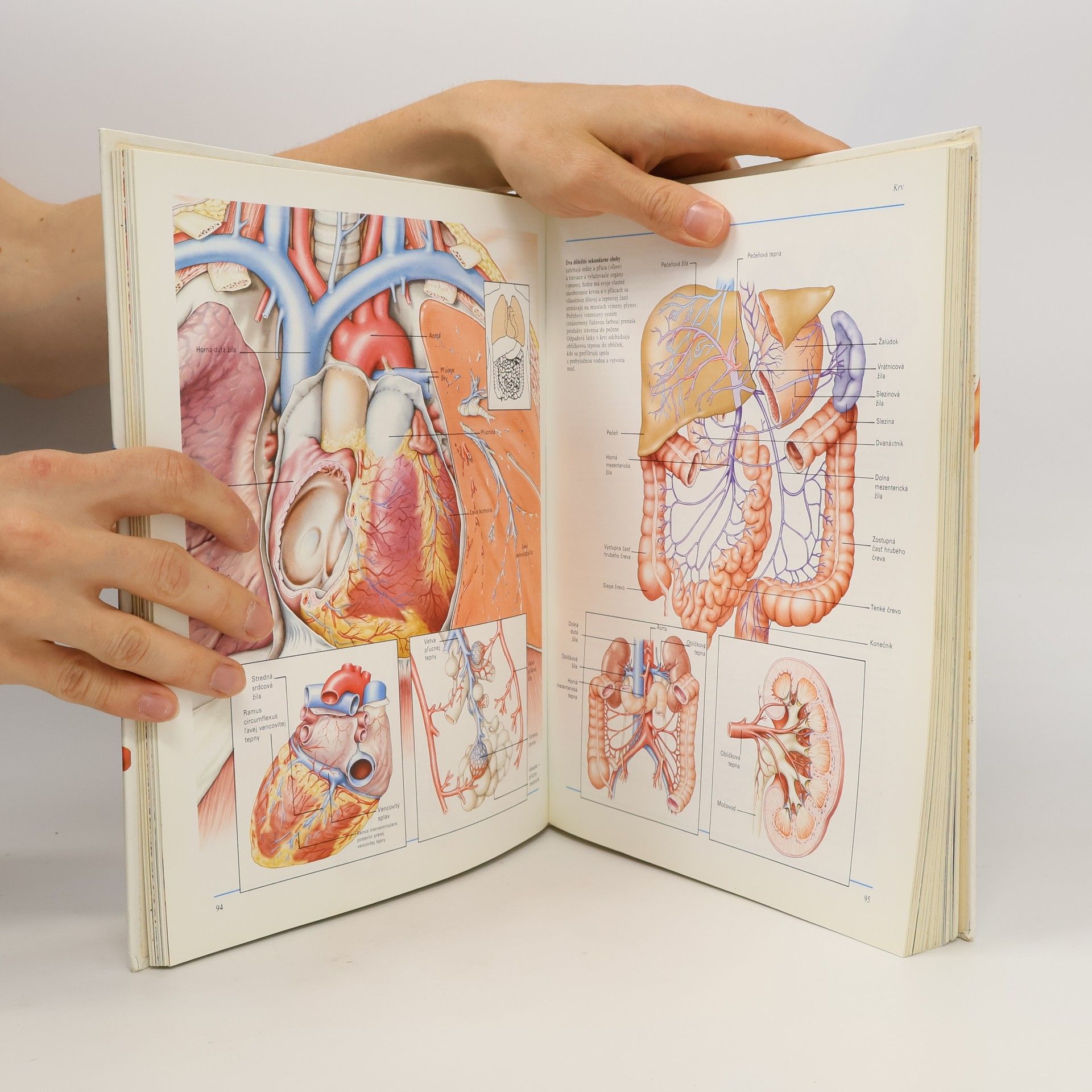 Autores varios Ľudské telo