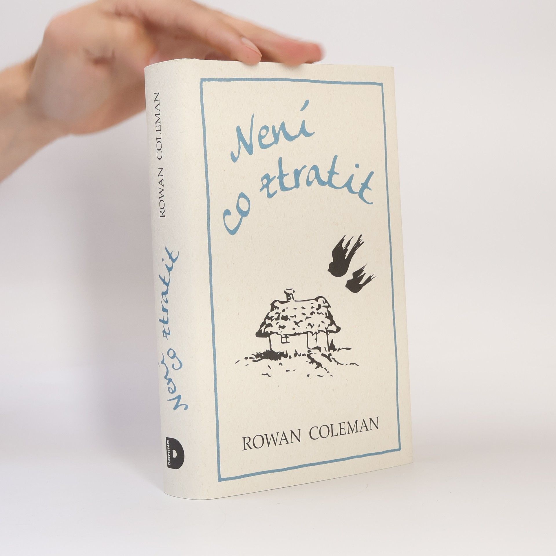 Rowan Coleman Není co ztratit