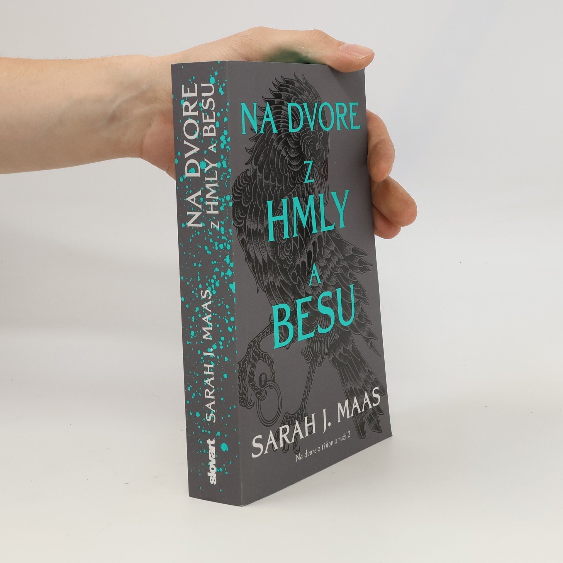 Sarah J. Maas Na dvore z hmly a besu