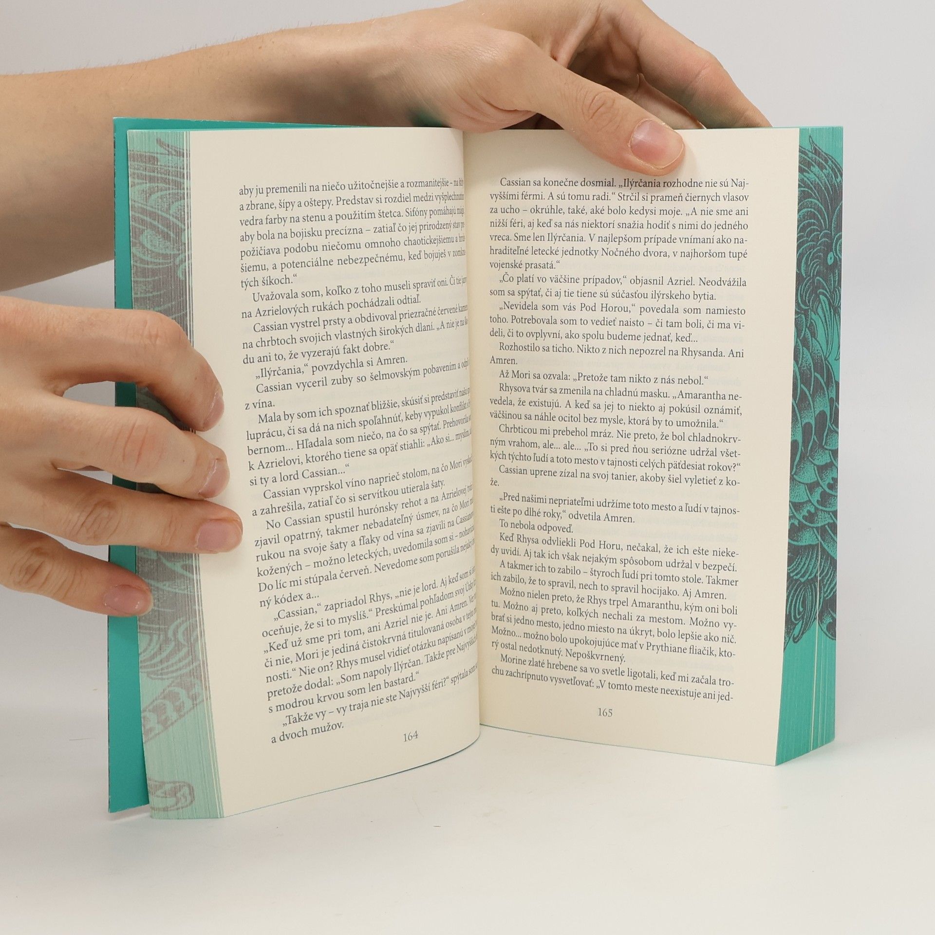 Sarah J. Maas Na dvore z hmly a besu
