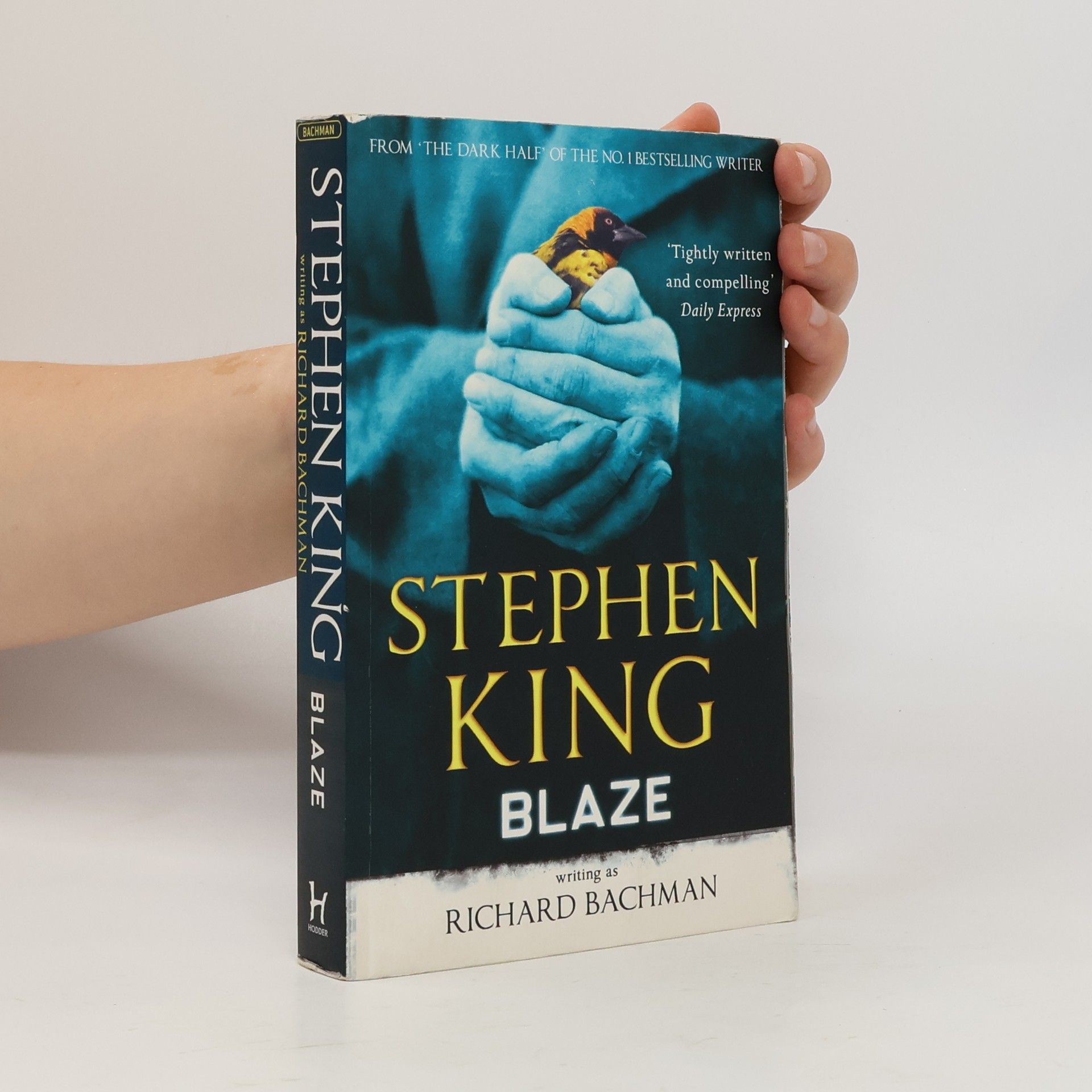 Stephen King Blaze
