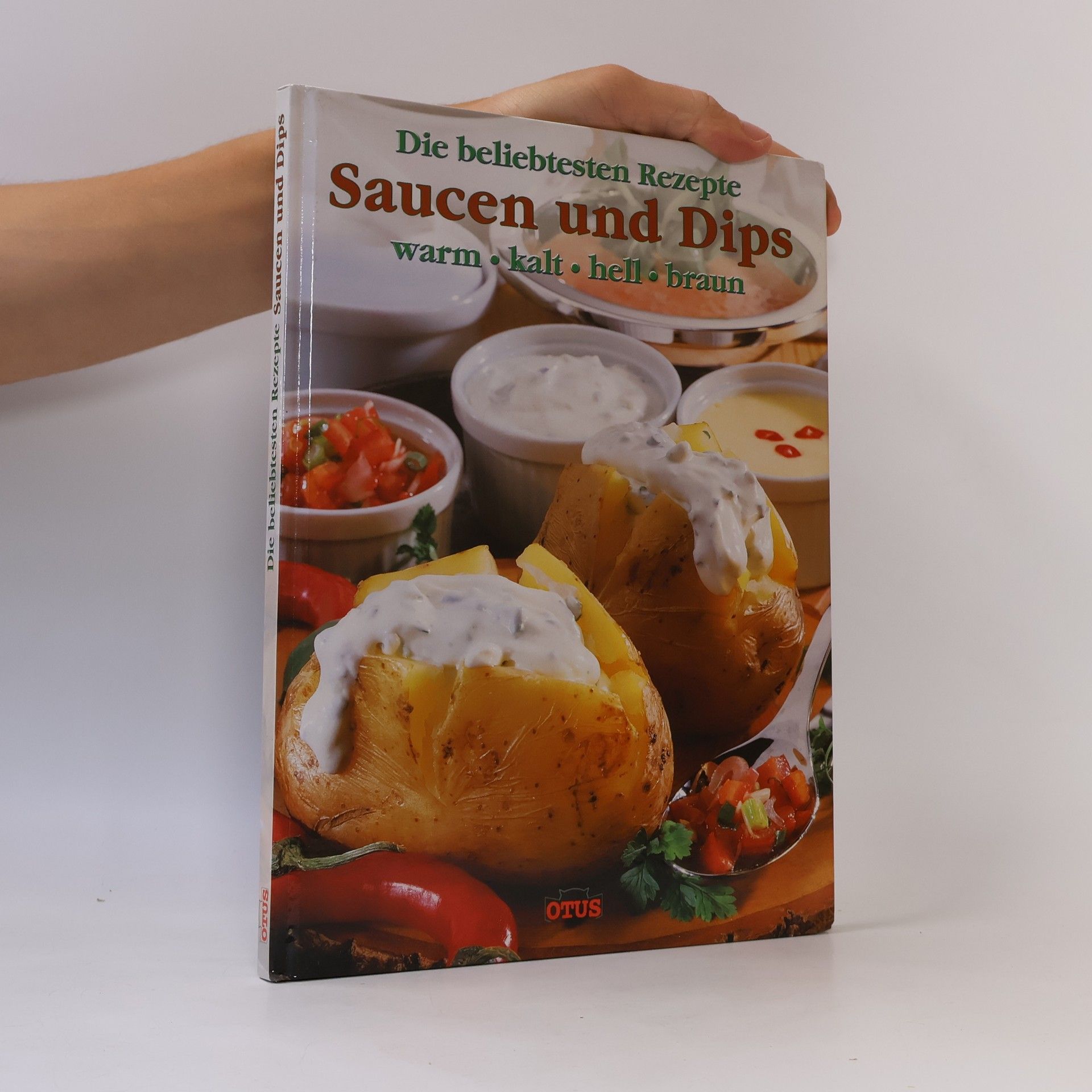 Autorenkollektiv Saucen und Dips