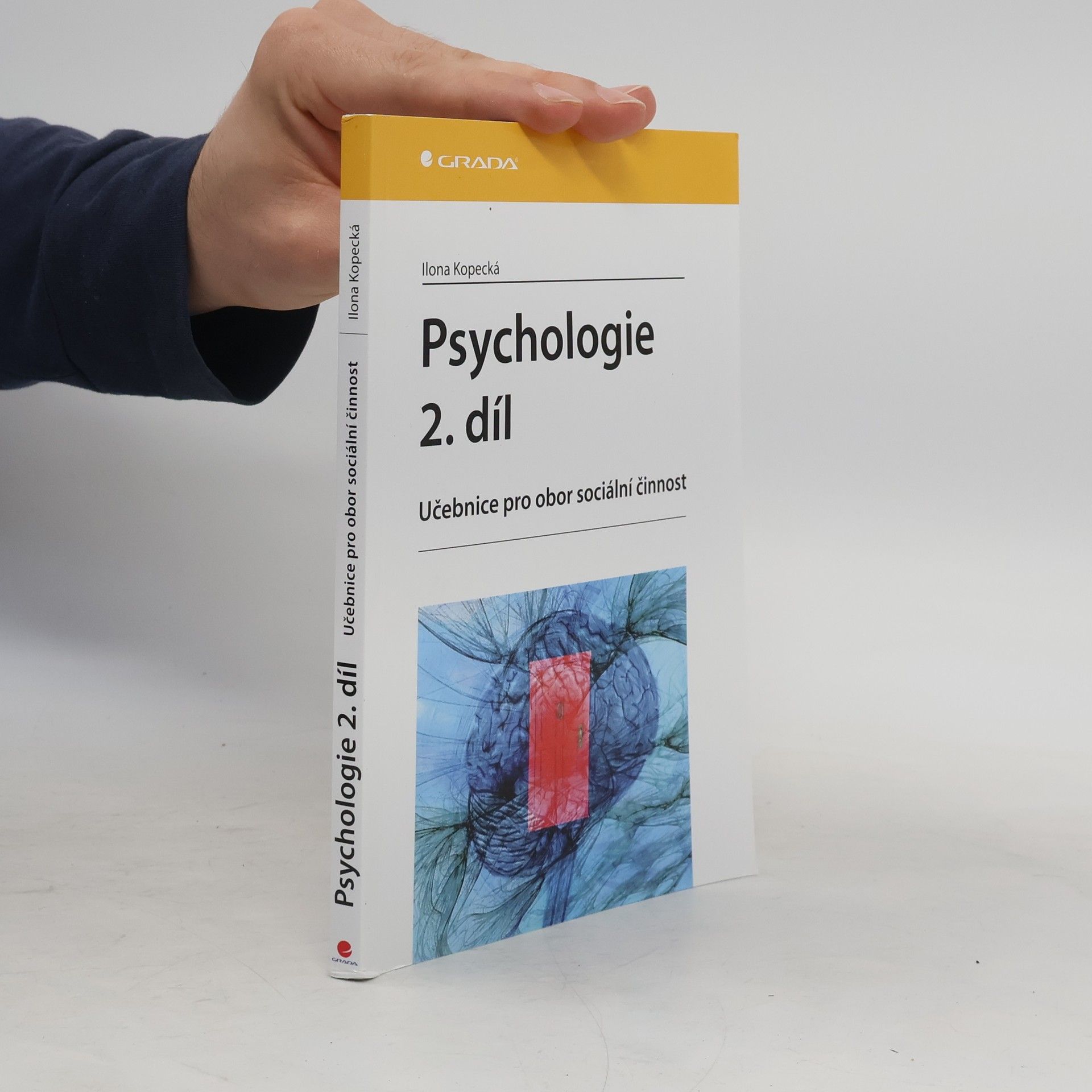 Ilona Kopecká Psychologie : učebnice pro obor sociální činnost. 2. díl