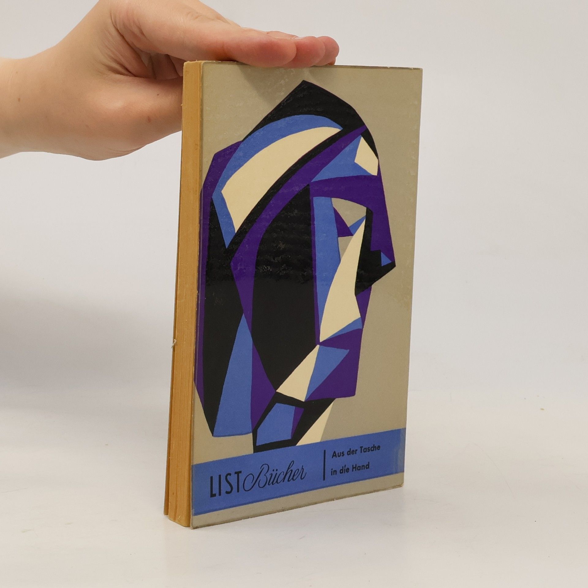 Fernande Olivier Neun Jahre mit Picasso