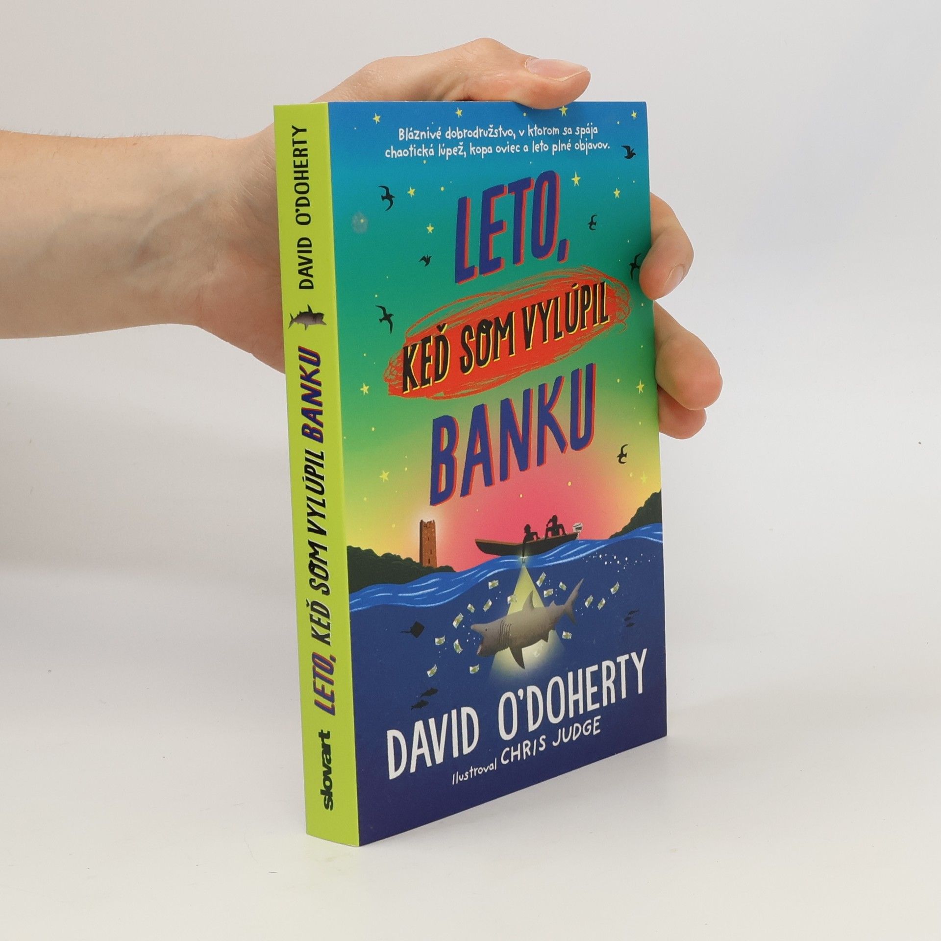 David O'Doherty Leto, keď som vylúpil banku