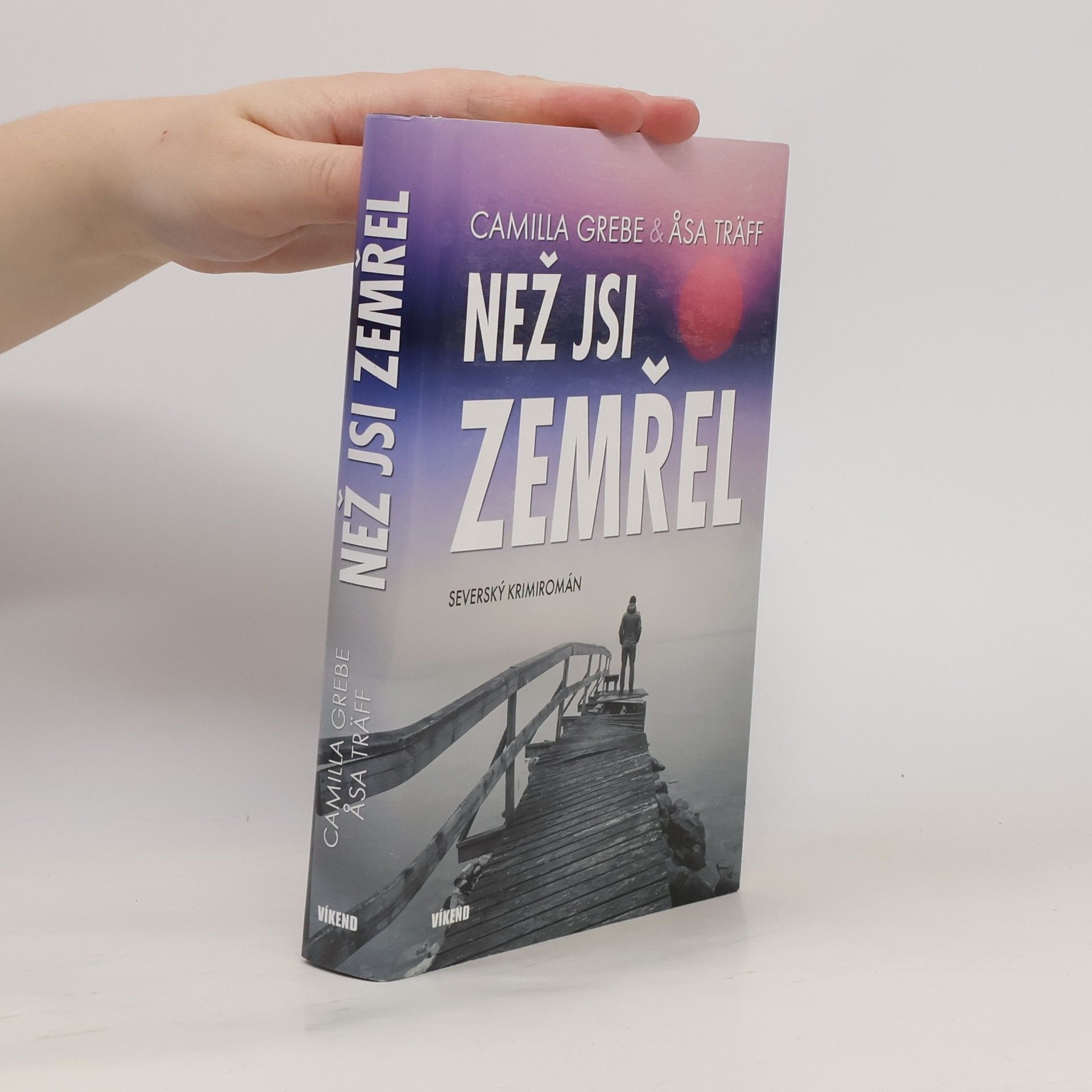 Camilla Grebe Než jsi zemřel