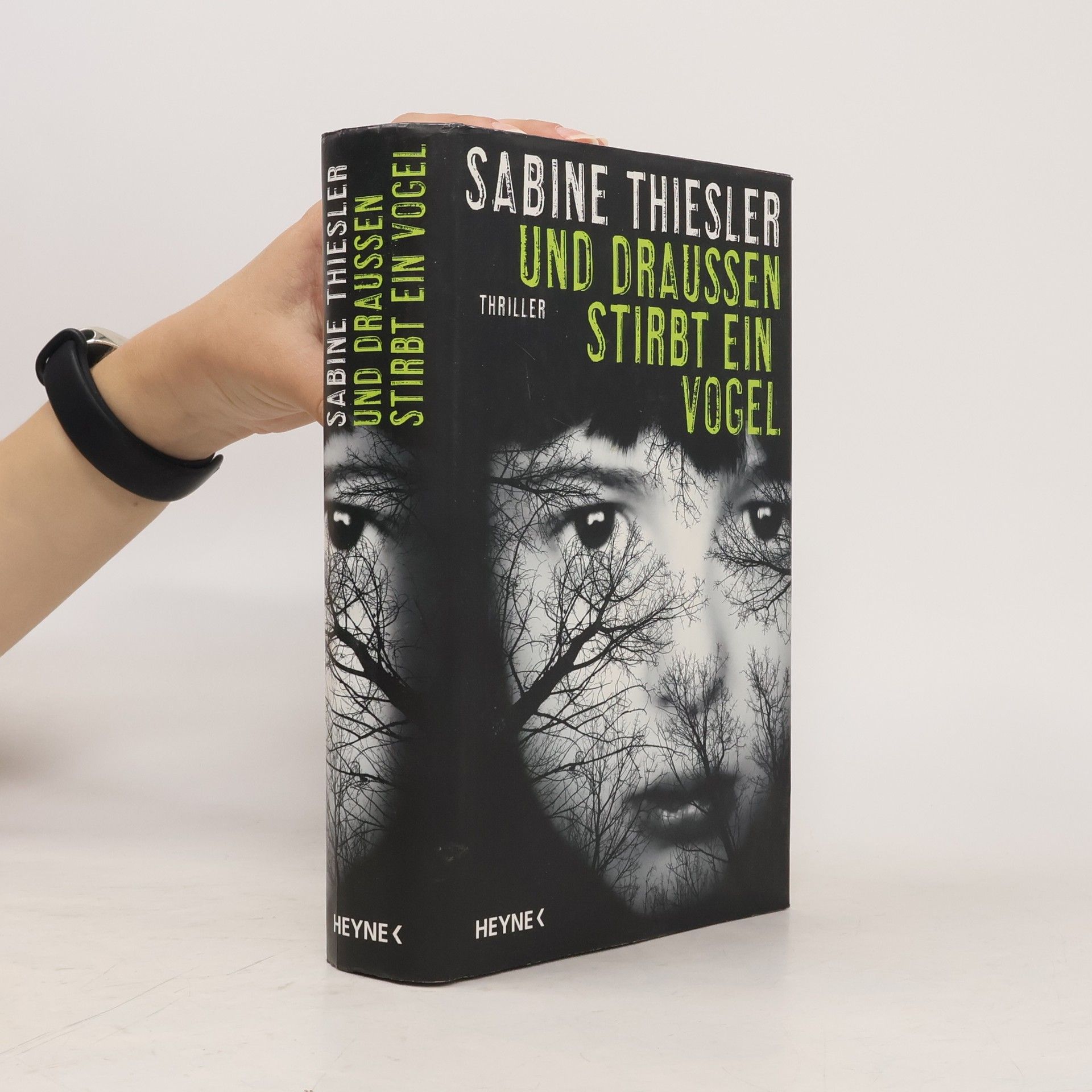 Sabine Thiesler Und draußen stirbt ein Vogel