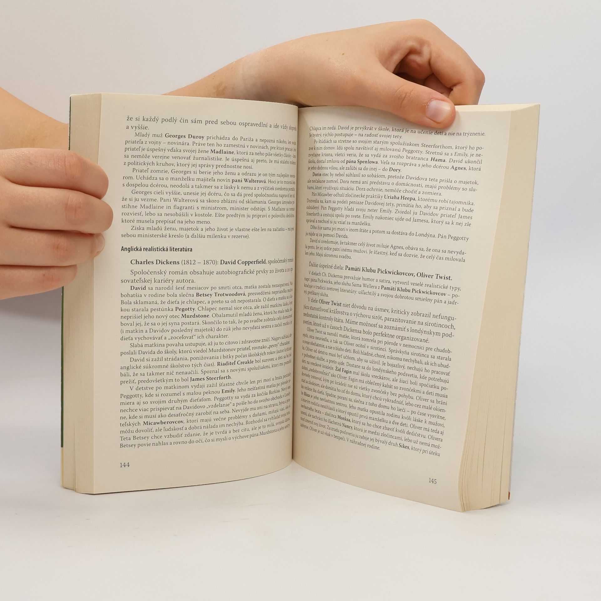 Milada Caltíková Slovenský jazyk a literatúra