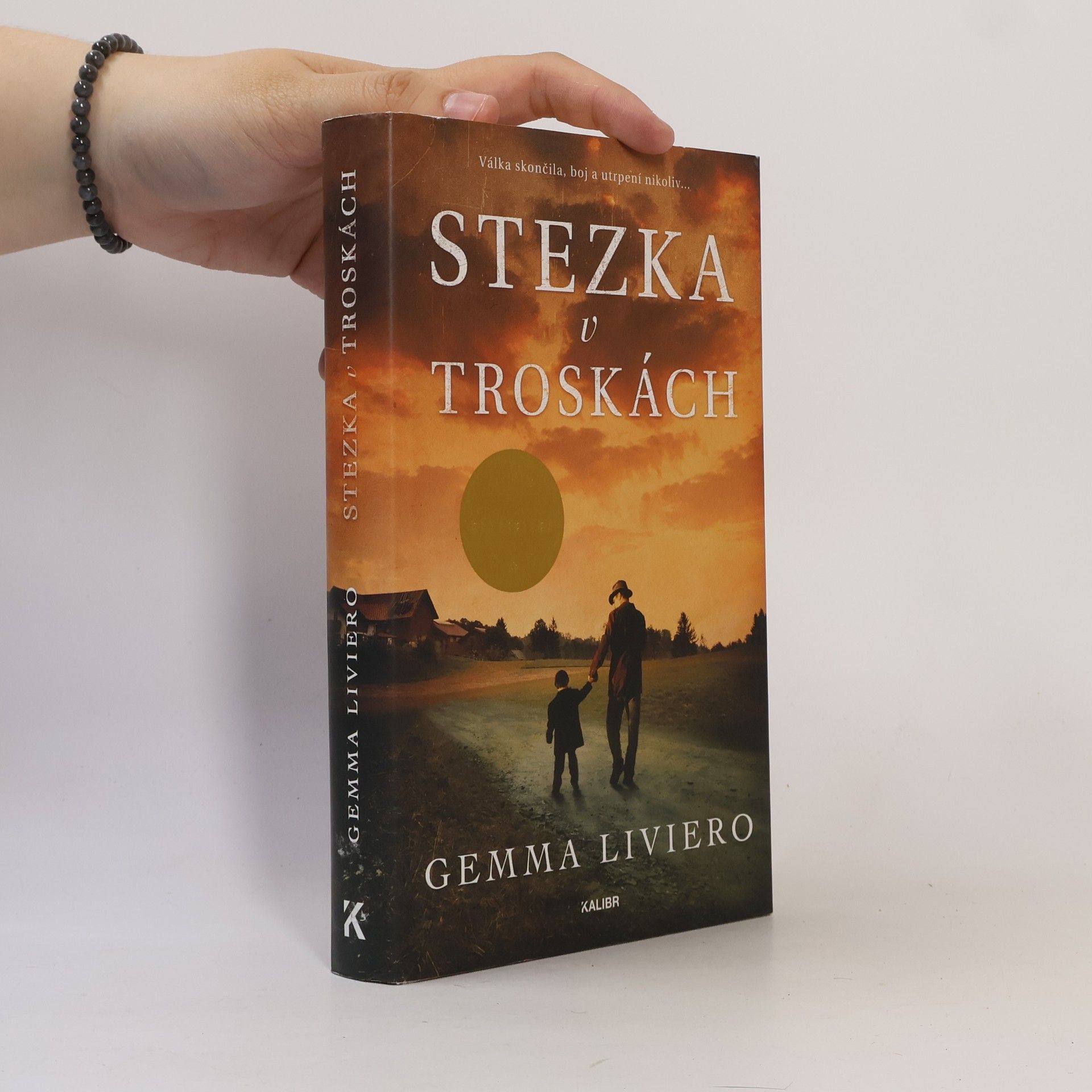 Gemma Liviero Stezka v troskách
