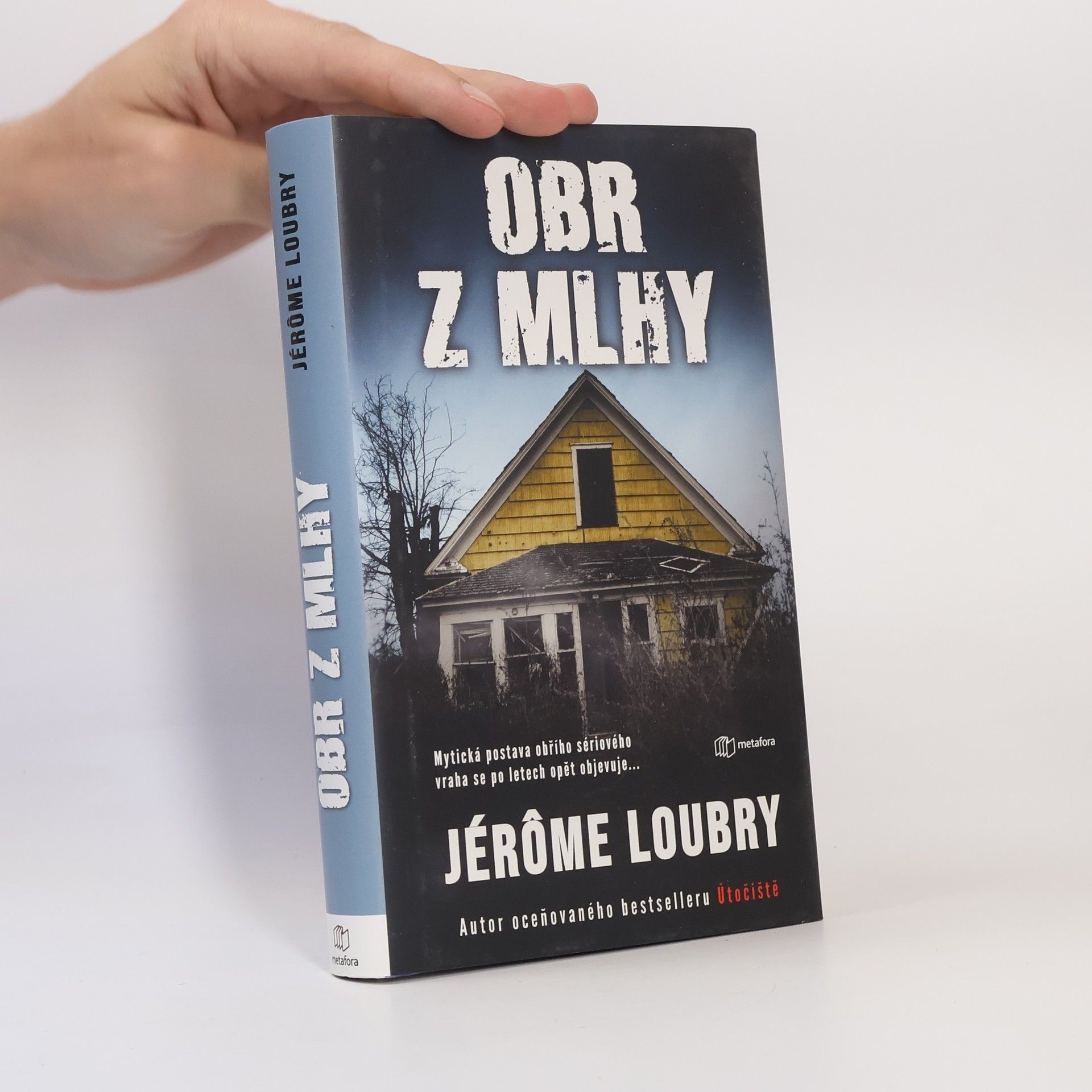 Jérôme Loubry Obr z mlhy