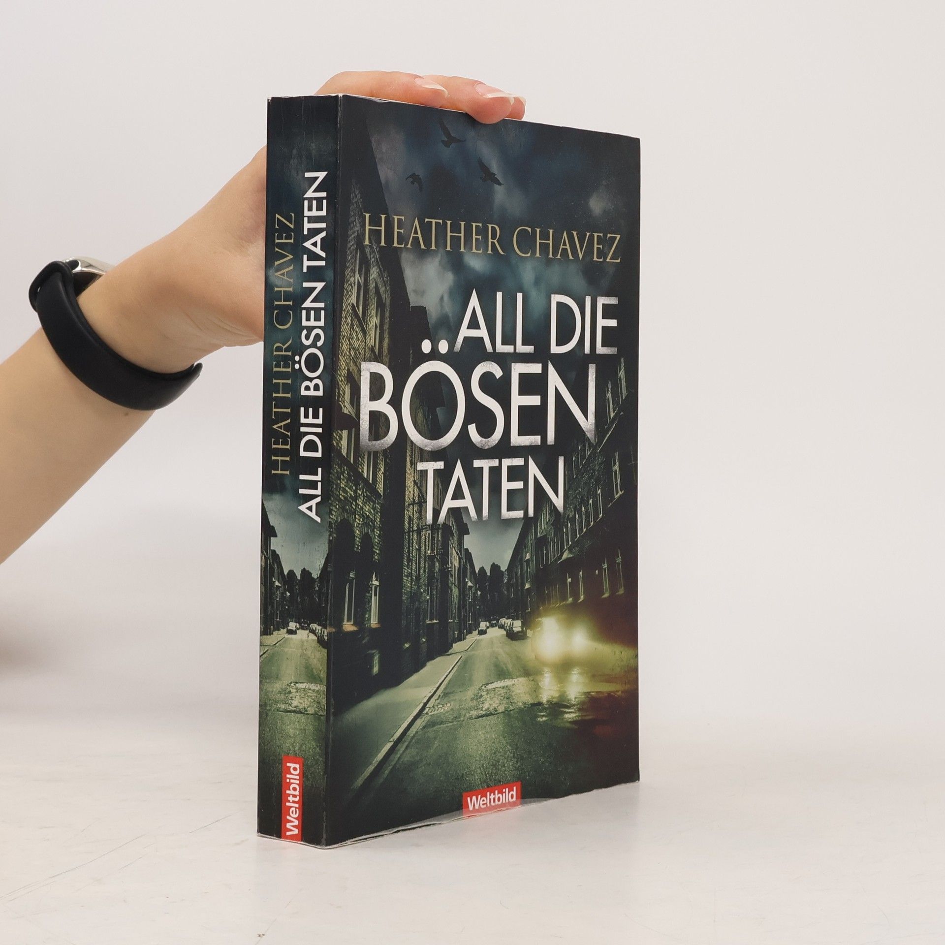 Heather Chavez All die bösen Taten