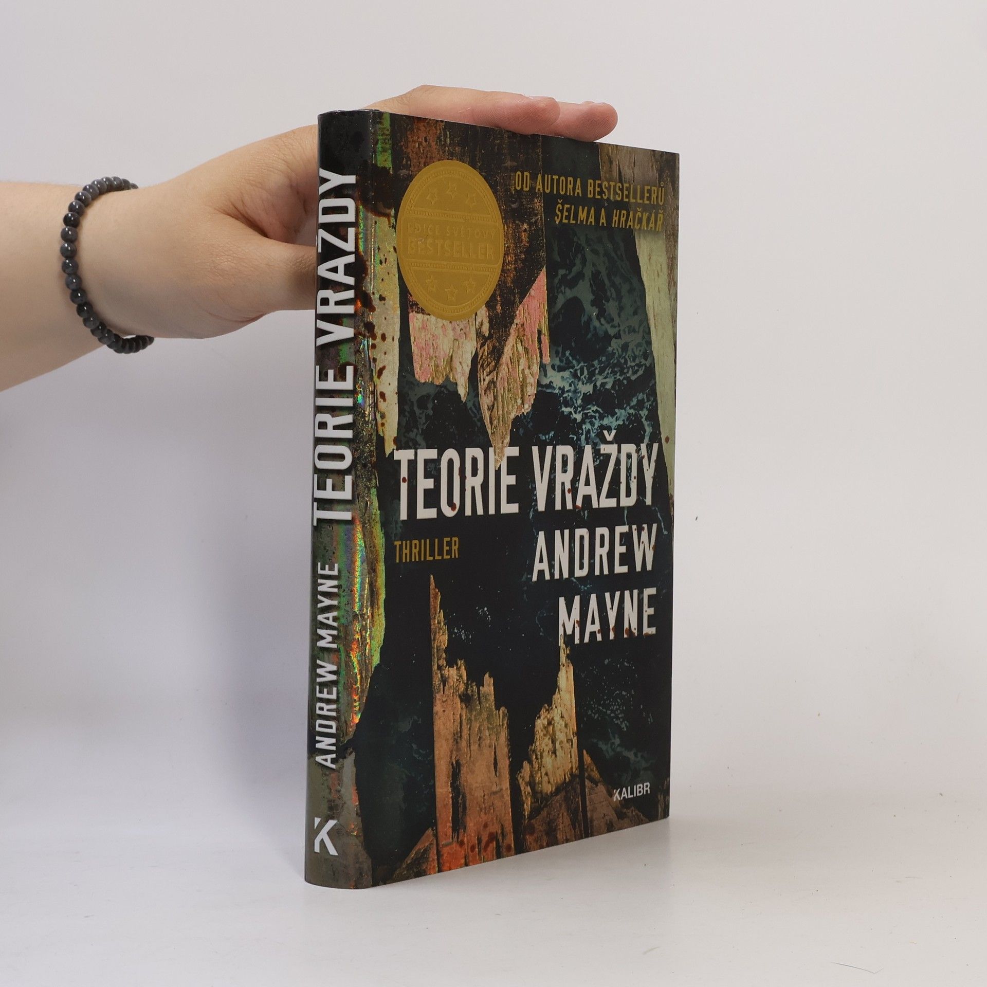 Andrew Mayne Teorie vraždy