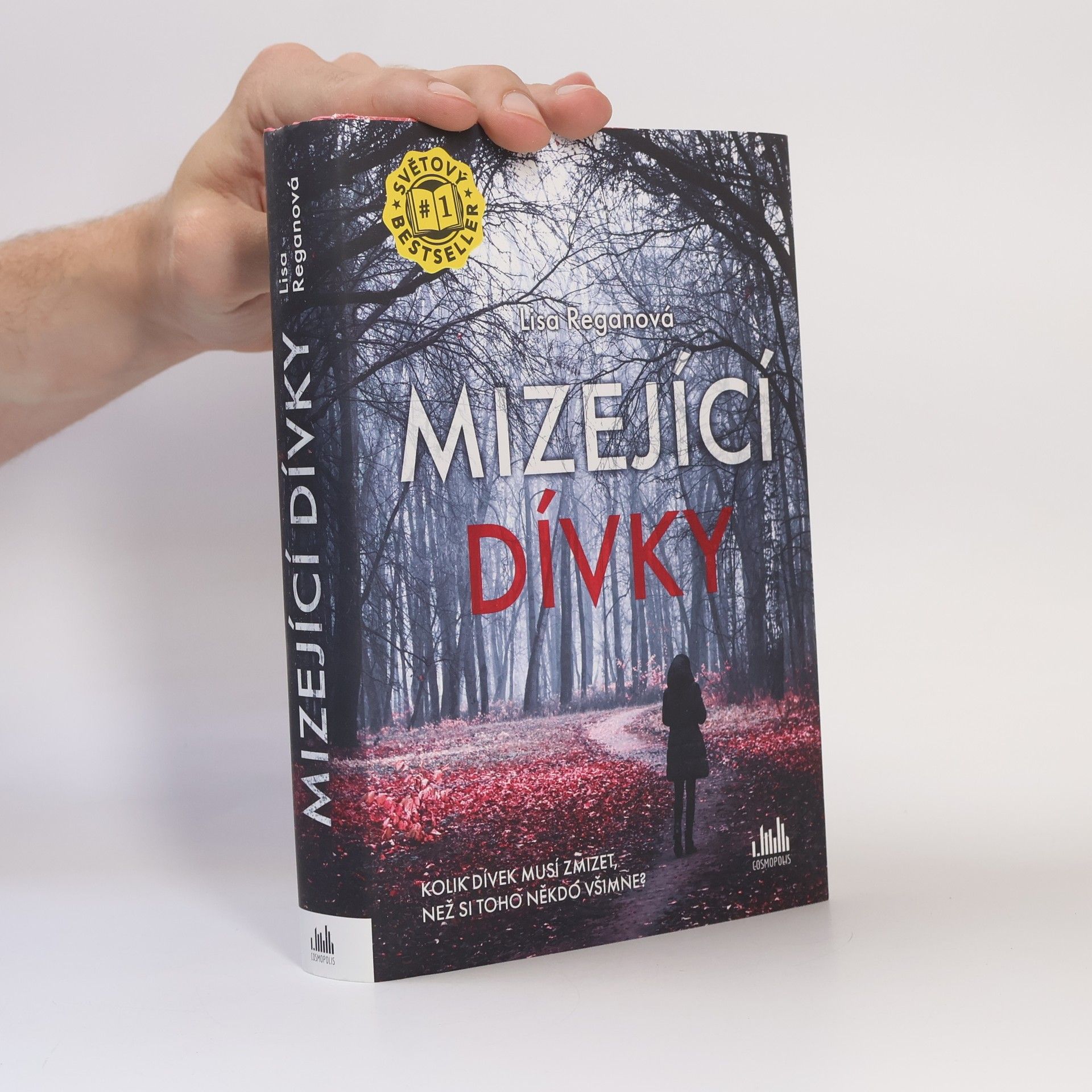 Lisa Regan Mizející dívky