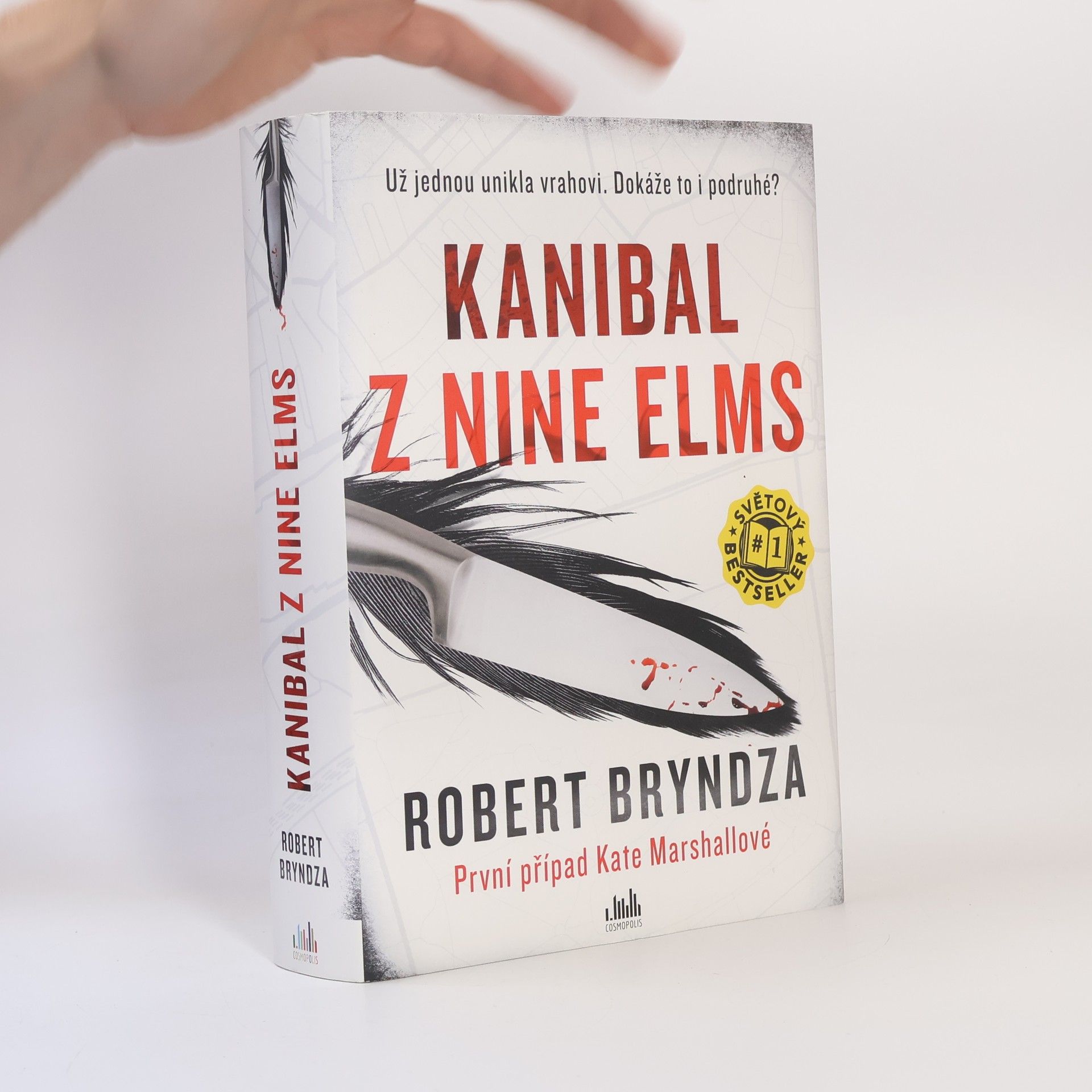 Robert Bryndza Kanibal z Nine Elms