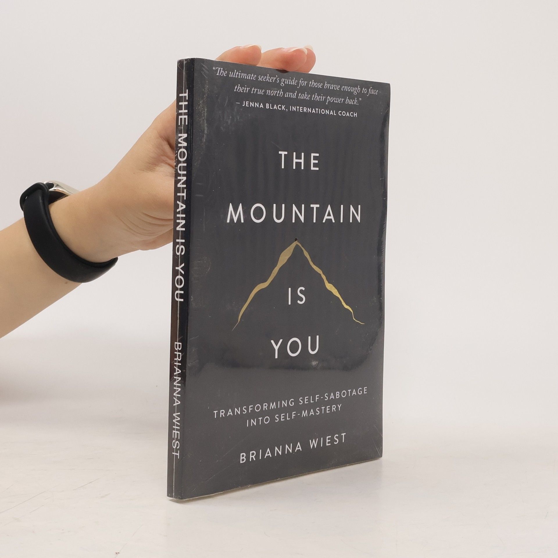 Brianna Wiest The Mountain Is You
