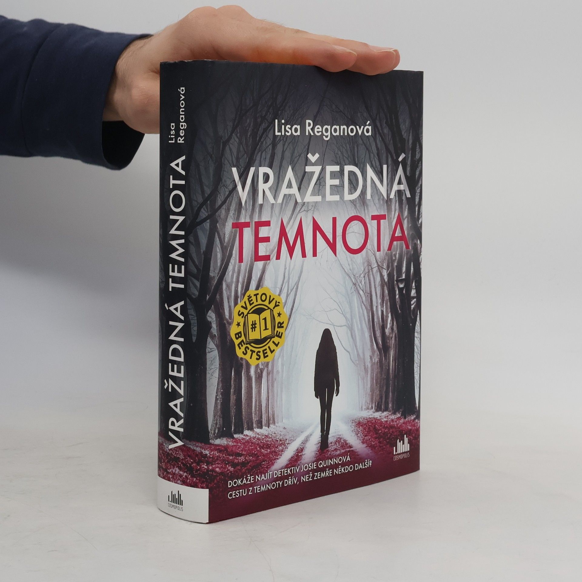 Lisa Regan Vražedná temnota