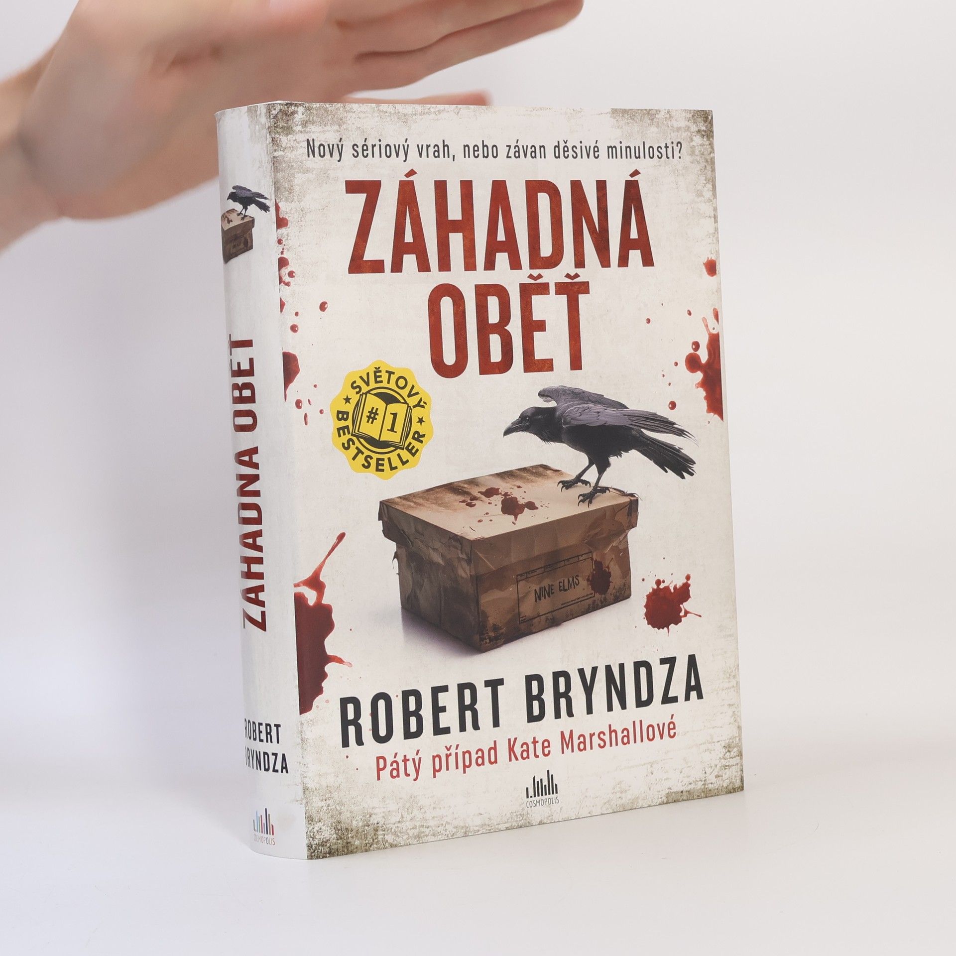 Robert Bryndza Záhadná oběť