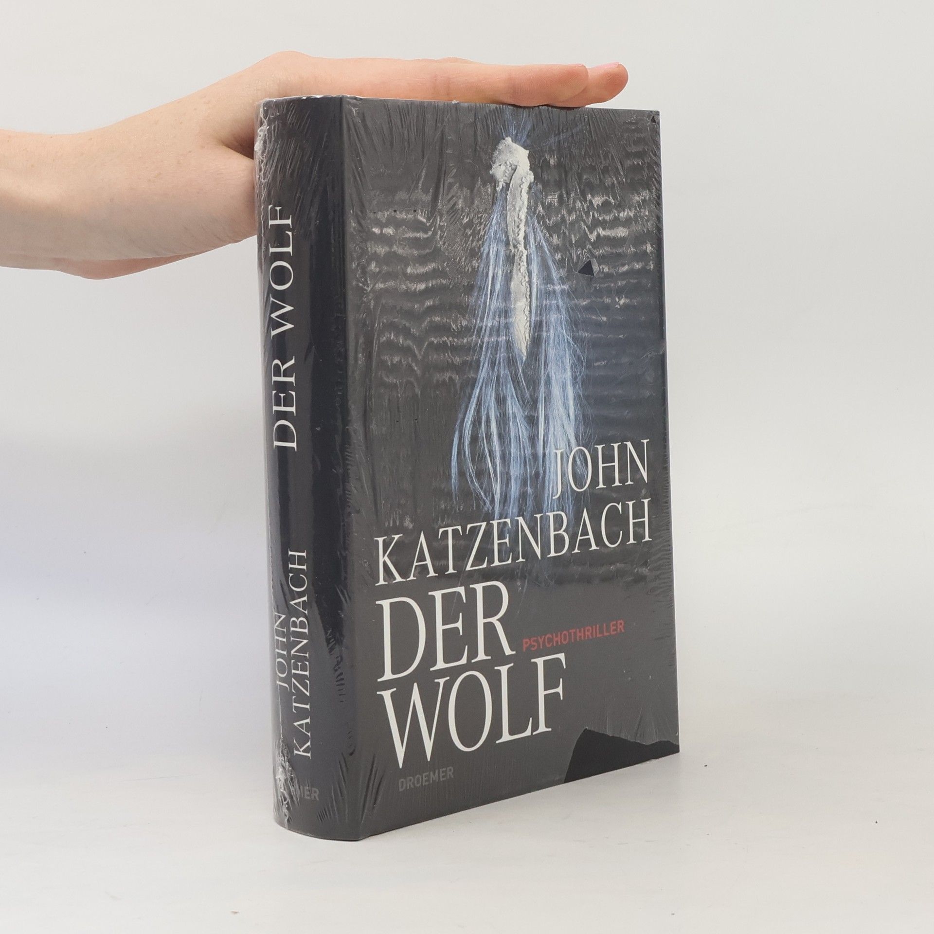 John Katzenbach Der Wolf