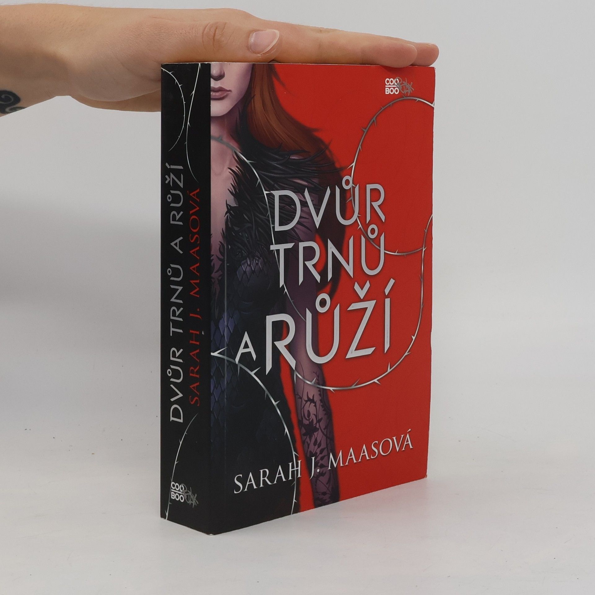 Sarah J. Maasová Dvůr trnů a růží