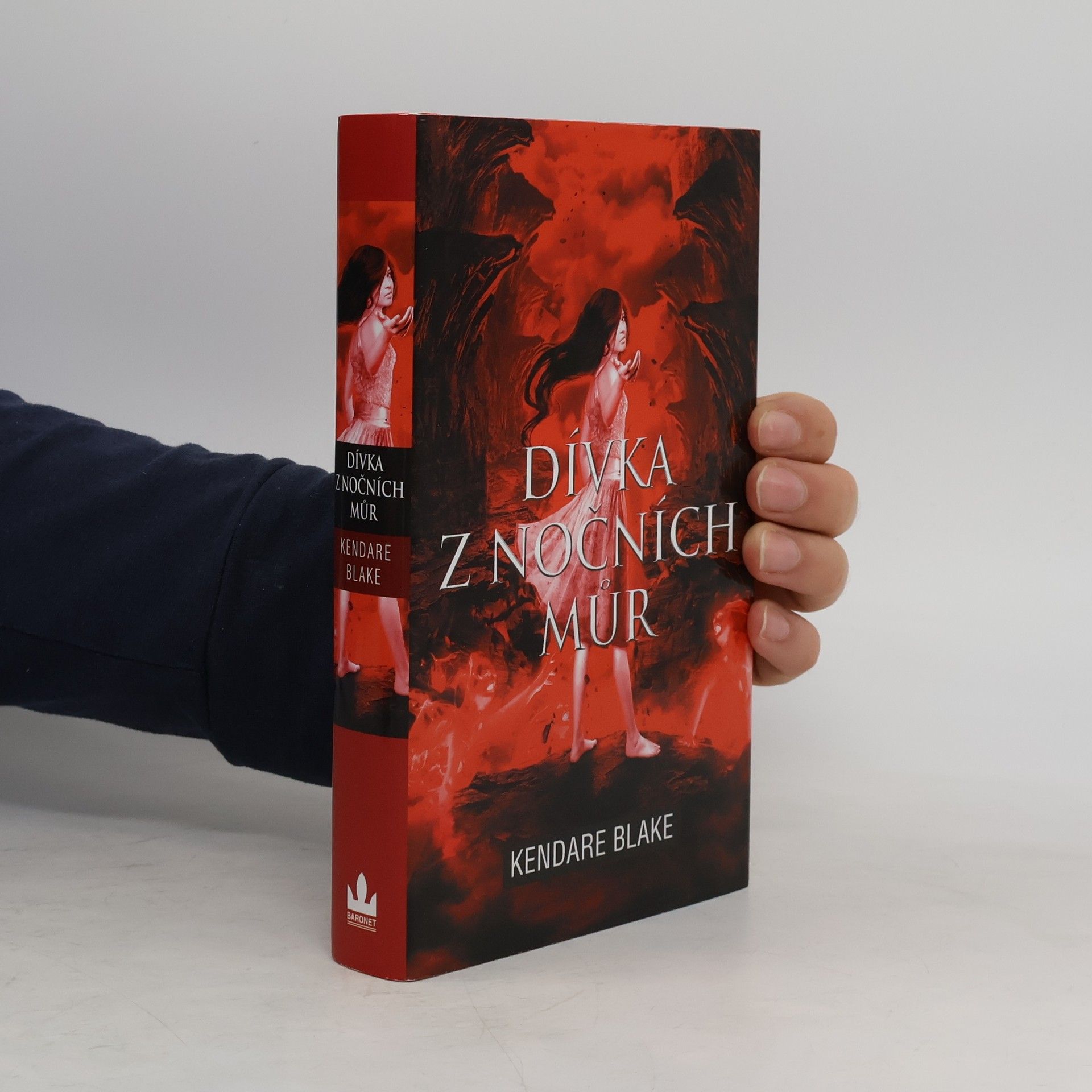 Kendare Blake Dívka z nočních můr