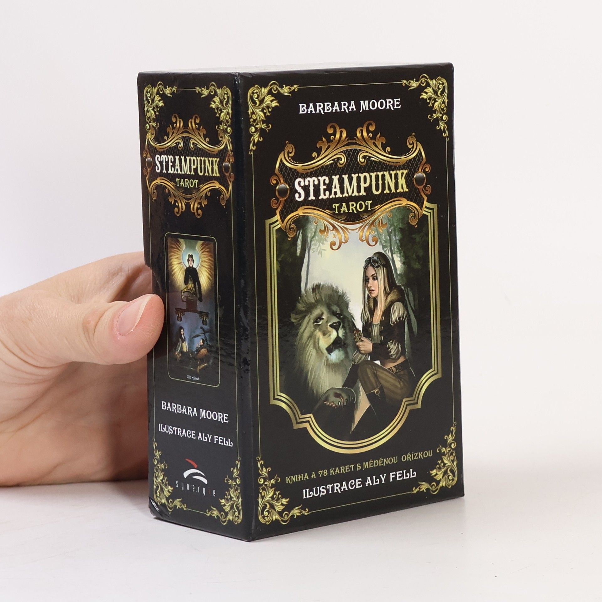 Barbara Moore Steampunk tarot