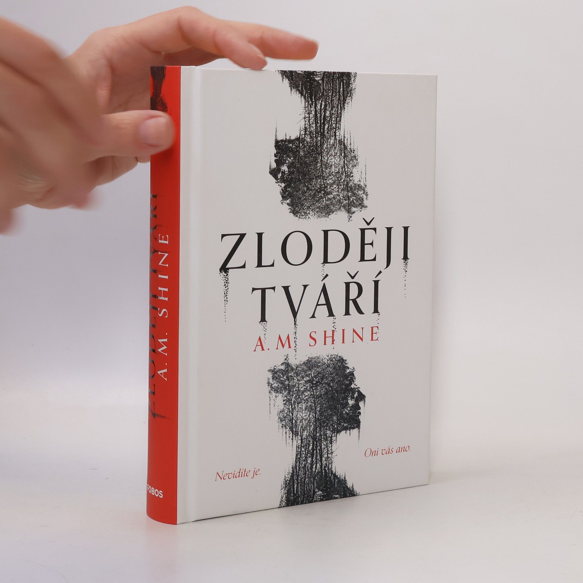 Kateřina Harrison Lipenská Zloději tváří