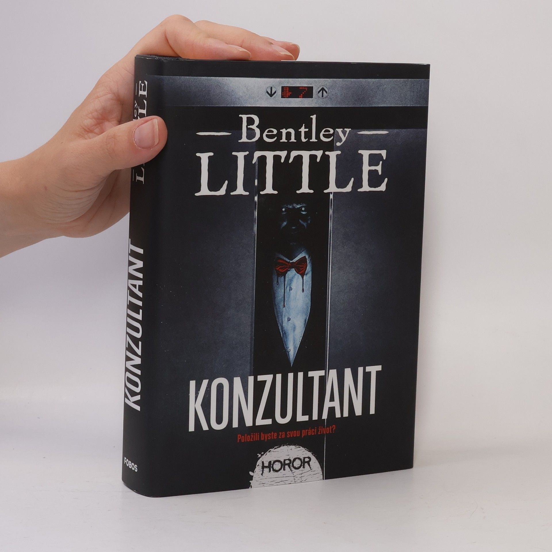 Bentley Little Konzultant