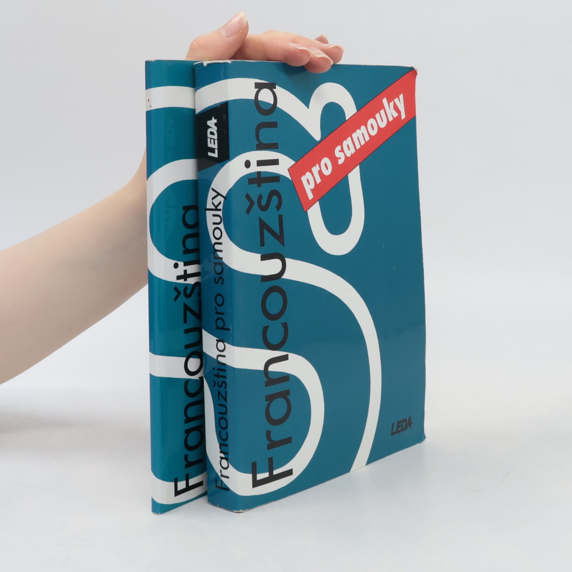 Autorenkollektiv Francouzština nejen pro samouky. Učebnice + Klíč, slovník