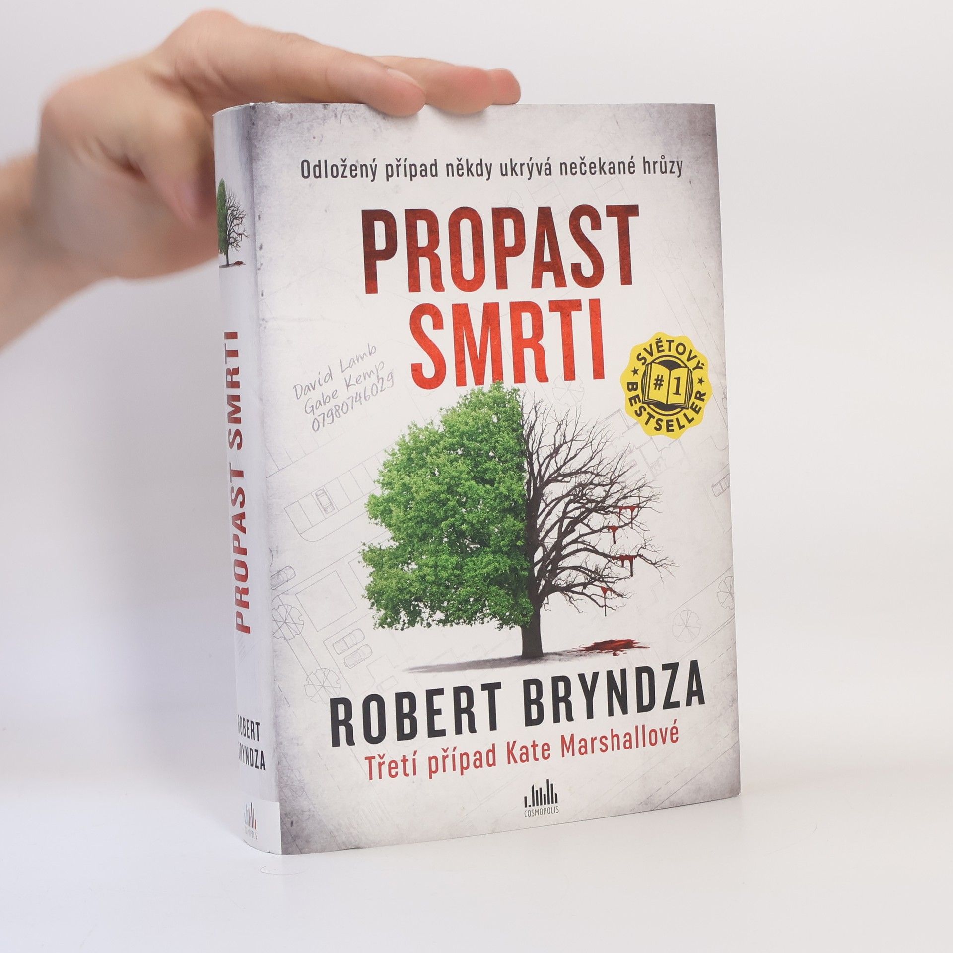 Robert Bryndza Propast smrti