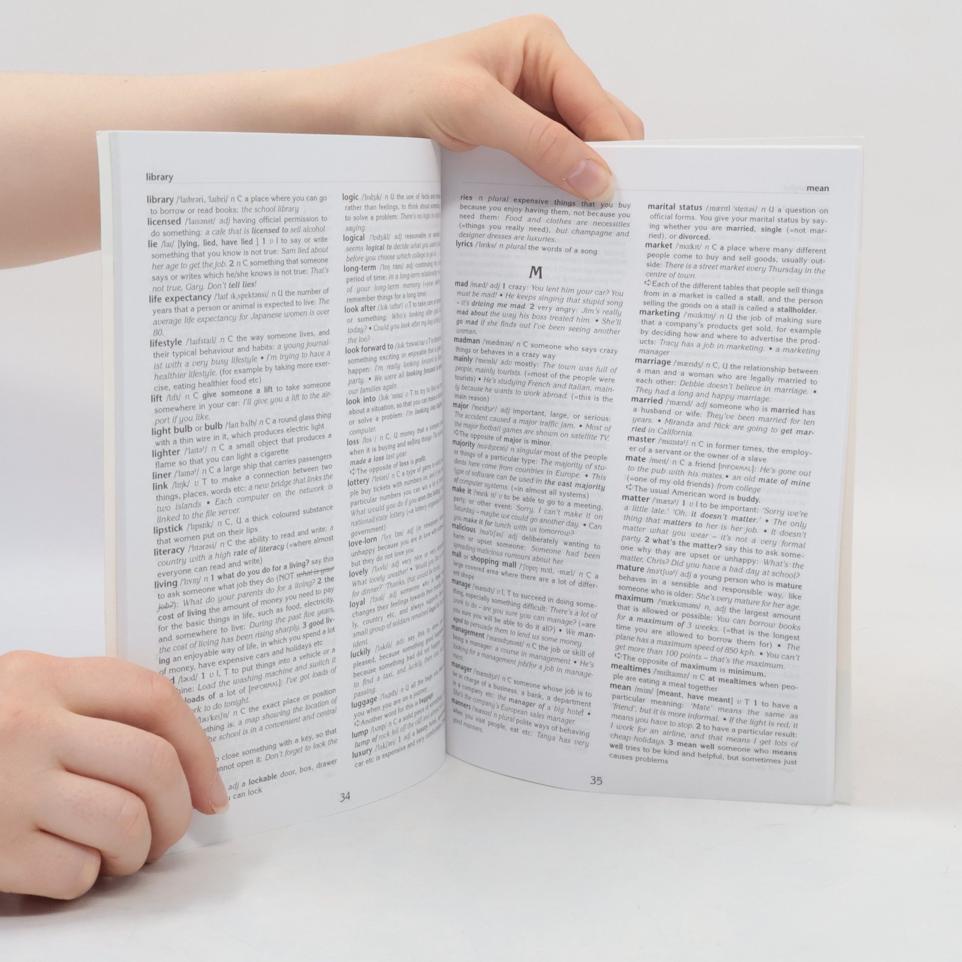 Michael Rundell Cutting Edge. Intermediate. Mini Dictionary