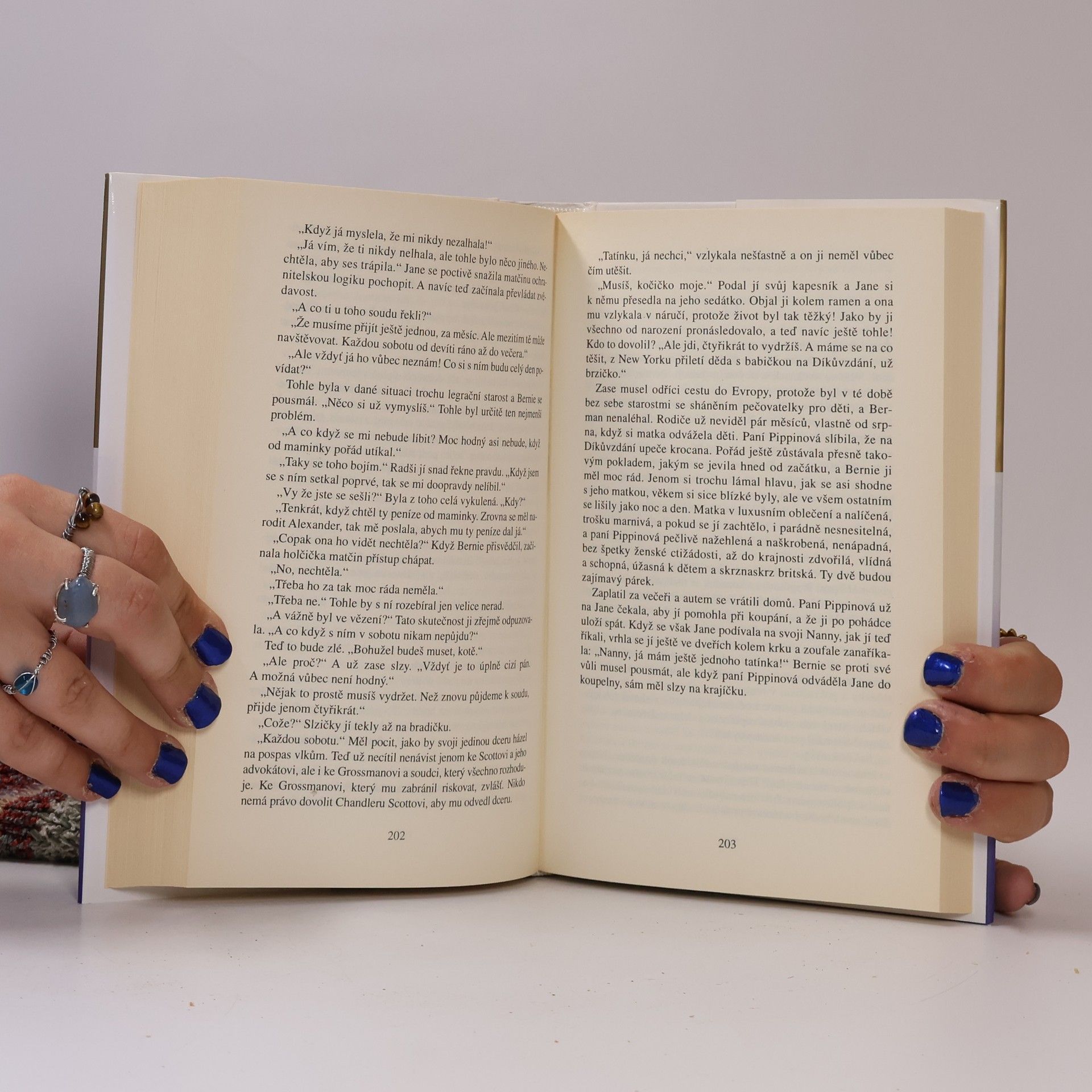 Danielle Steel Cena štěstí